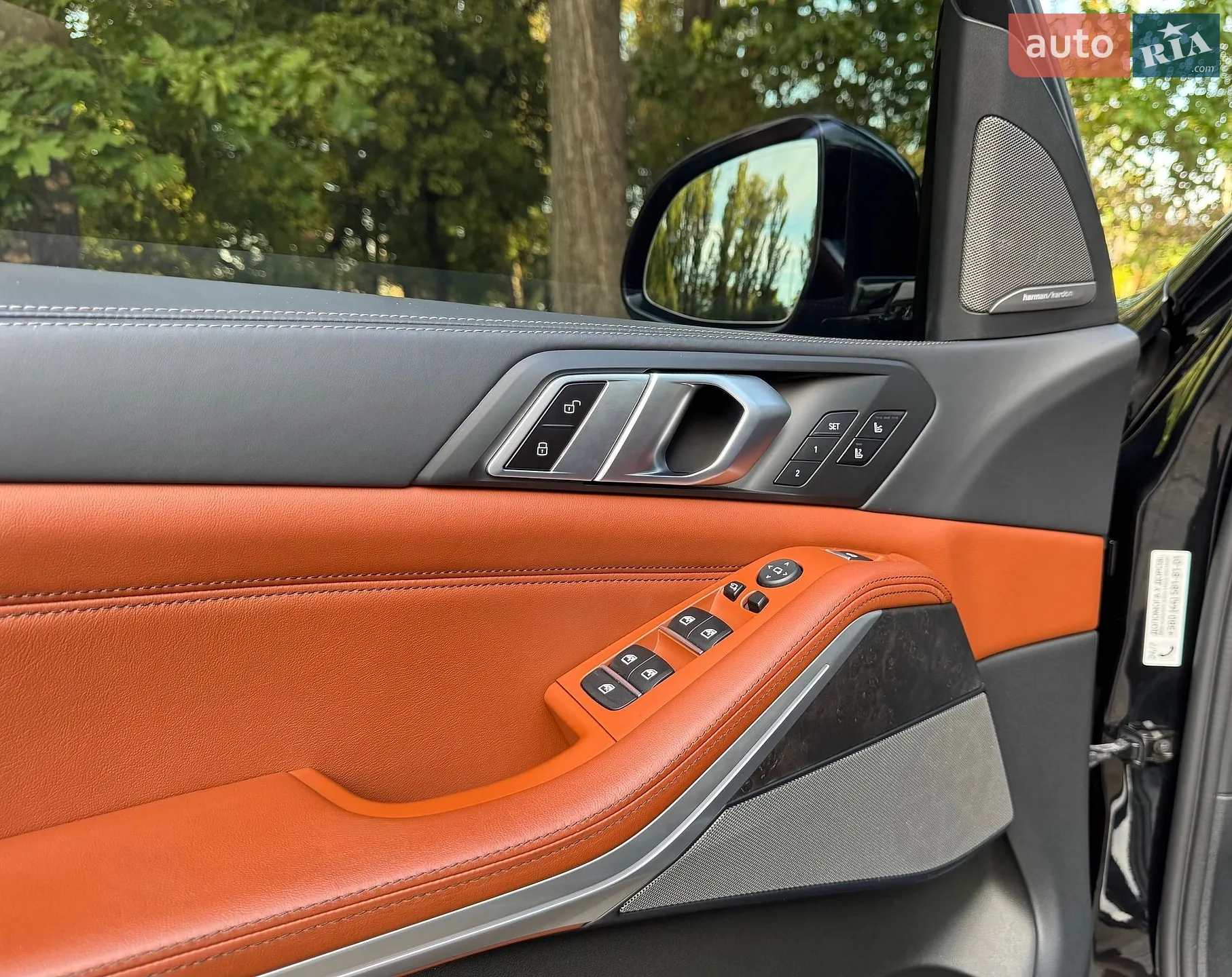 2021 BMW X5 - мініатюра 28