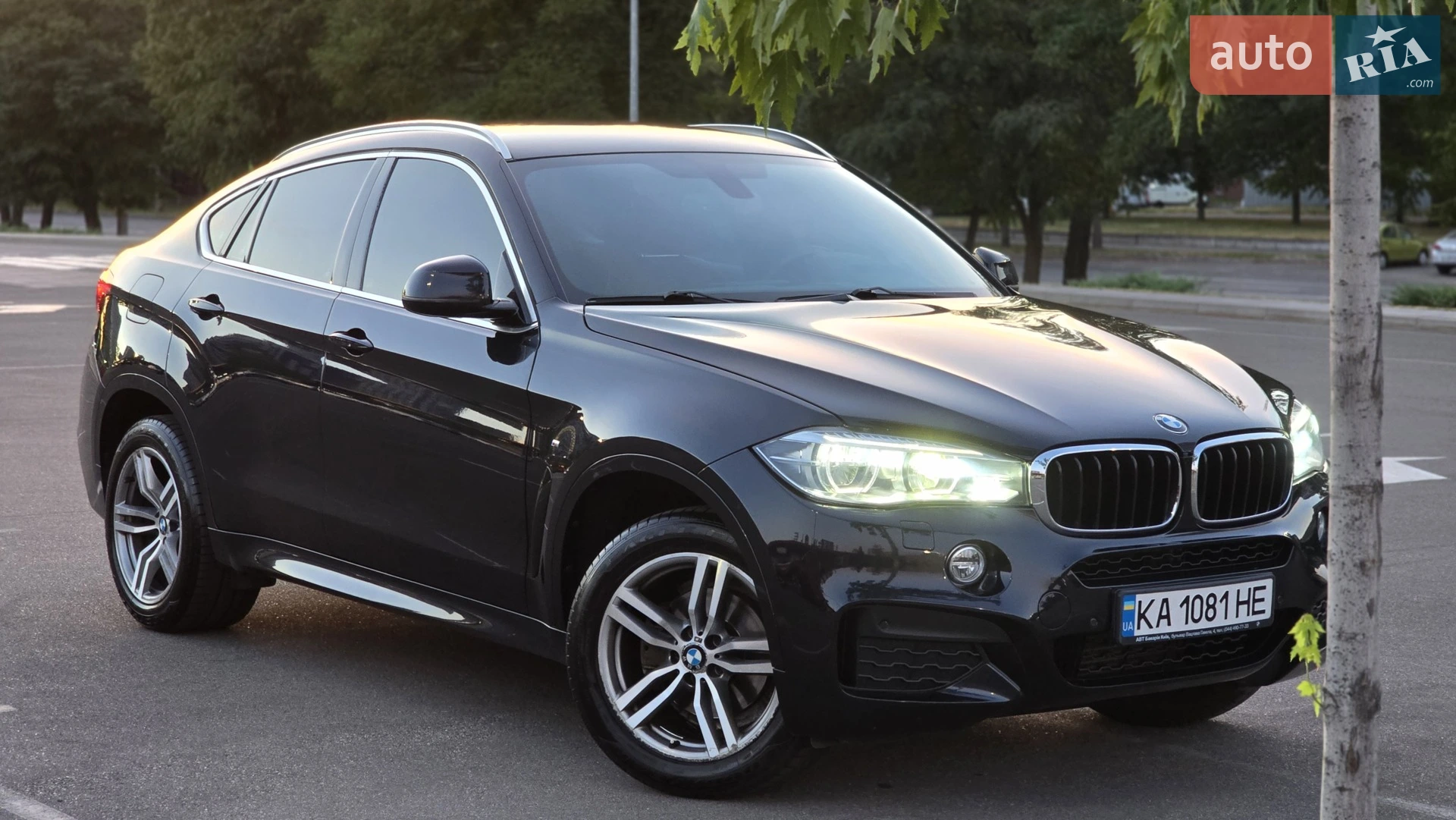 2015 BMW X6 - мініатюра 37