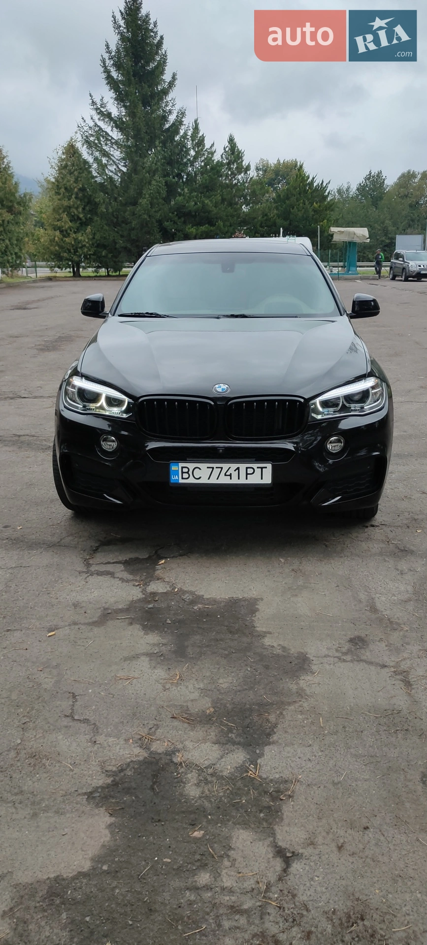 2017 BMW X6 - мініатюра 7