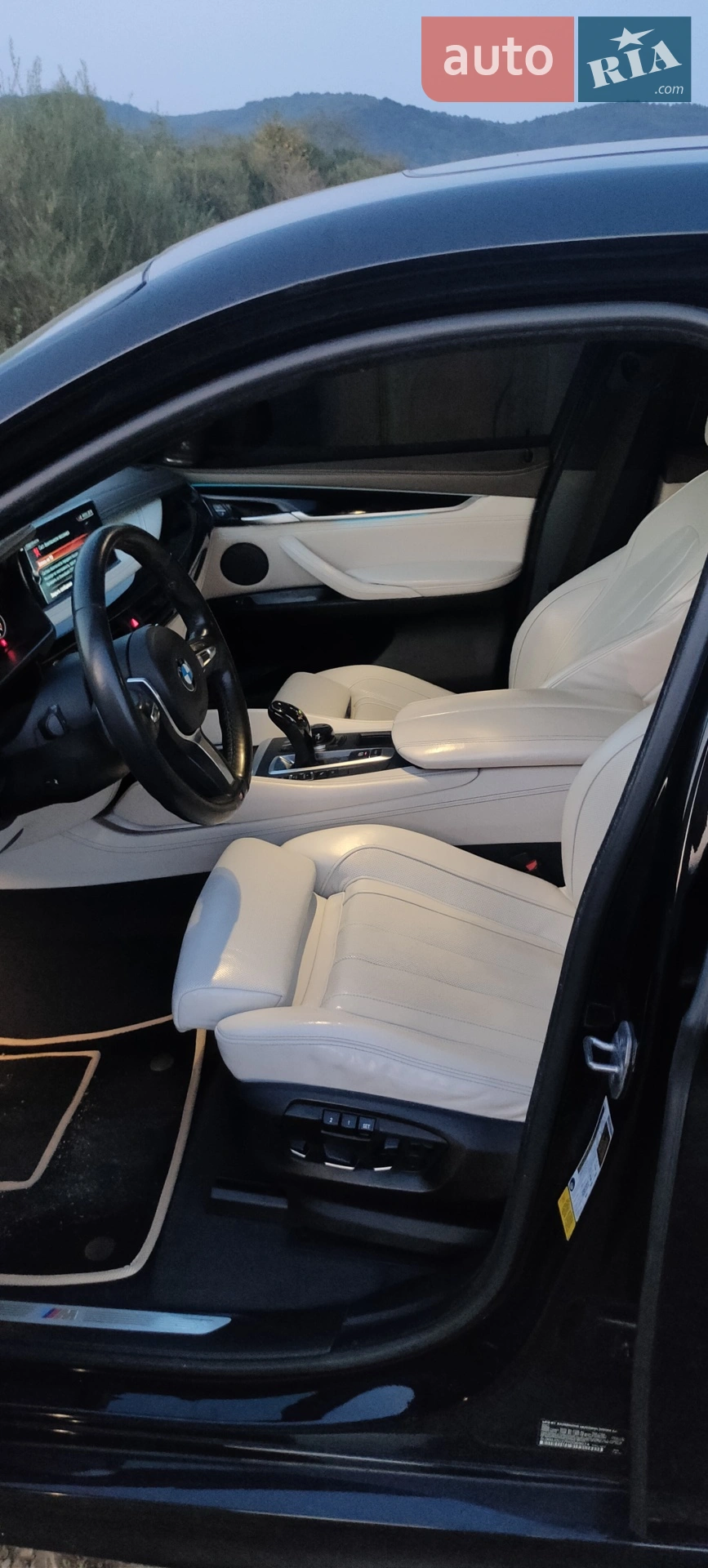 2017 BMW X6 - мініатюра 45