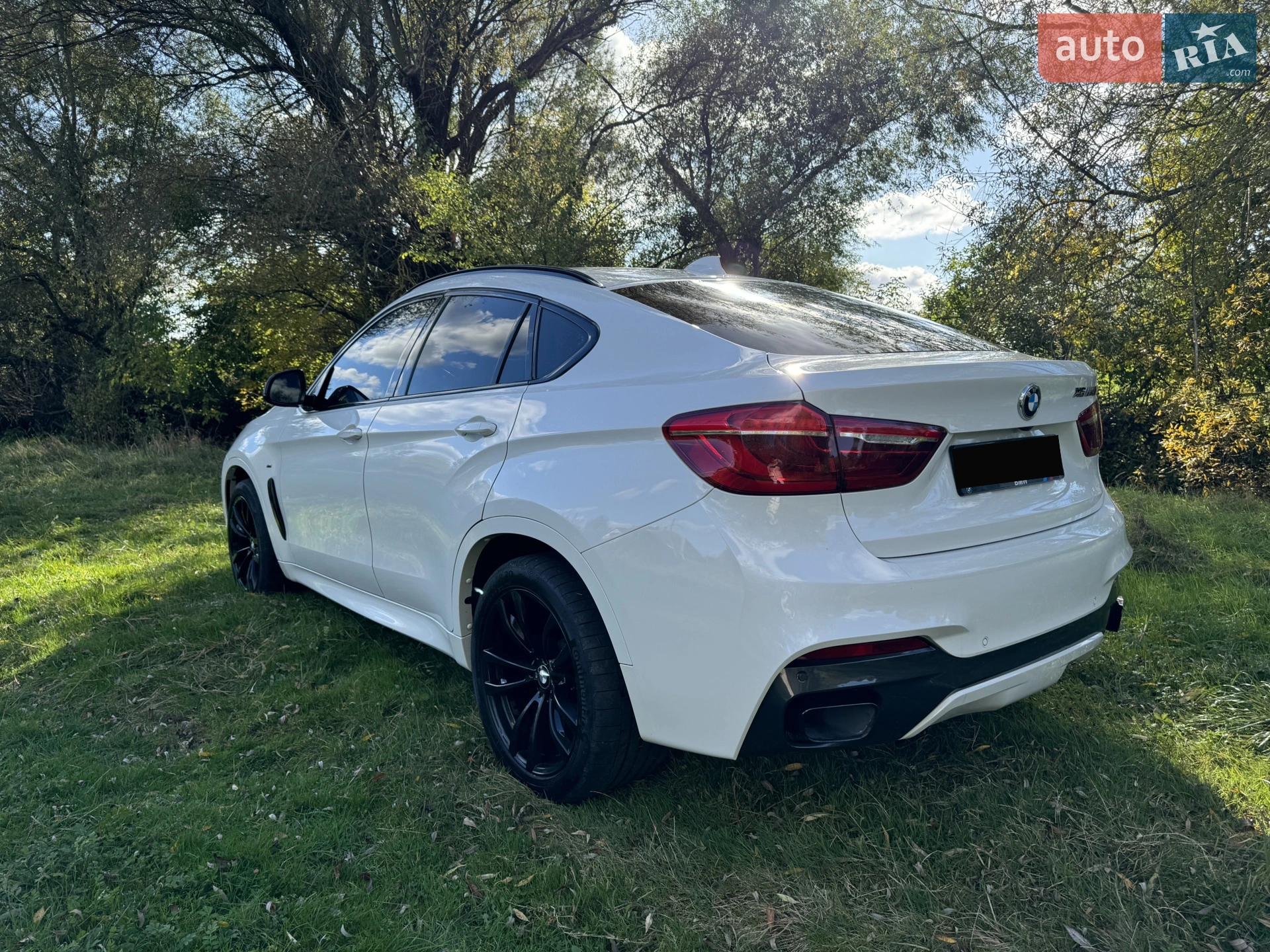 2018 BMW X6 - мініатюра 6