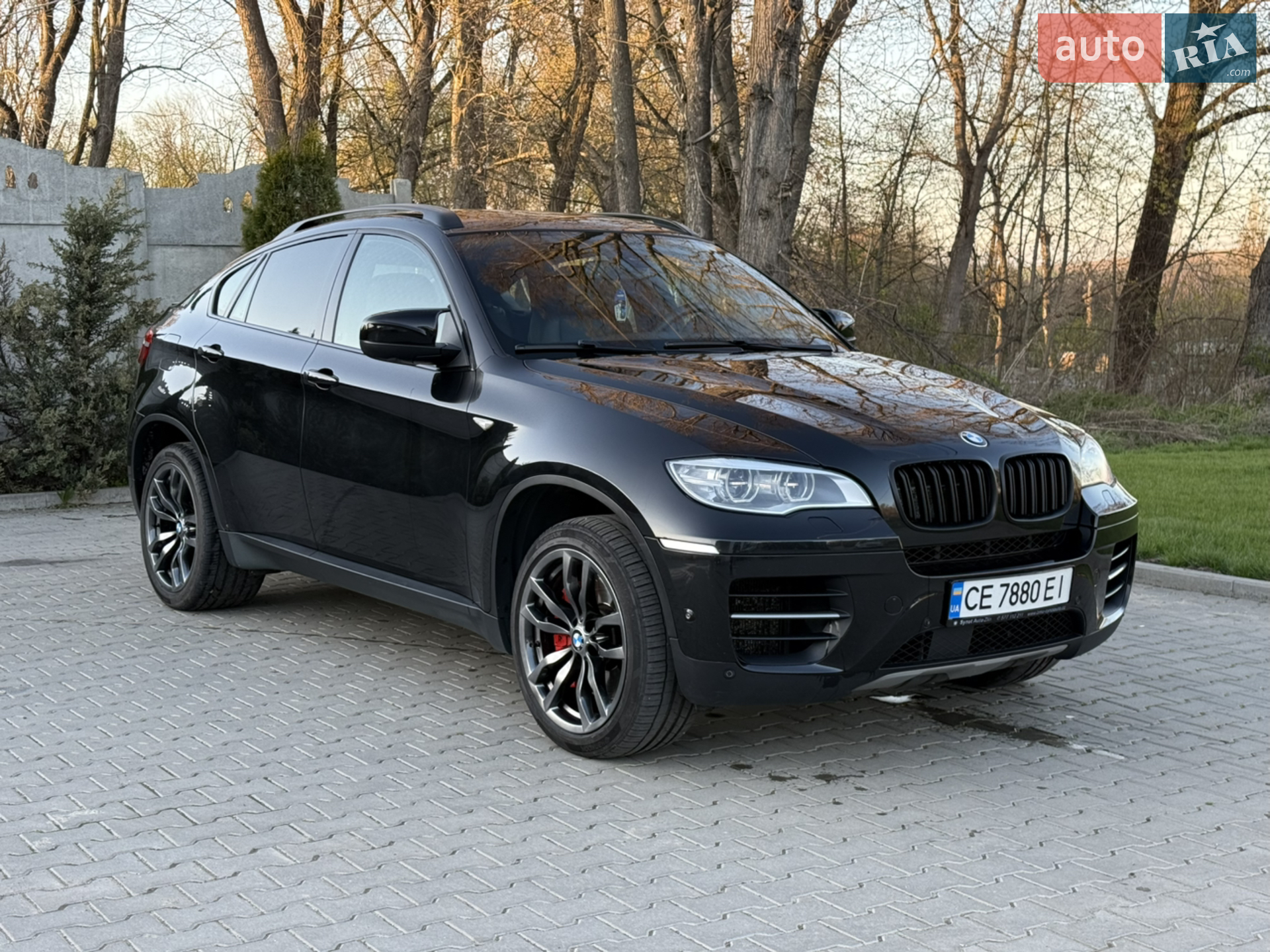 2012 BMW X6 - мініатюра 2