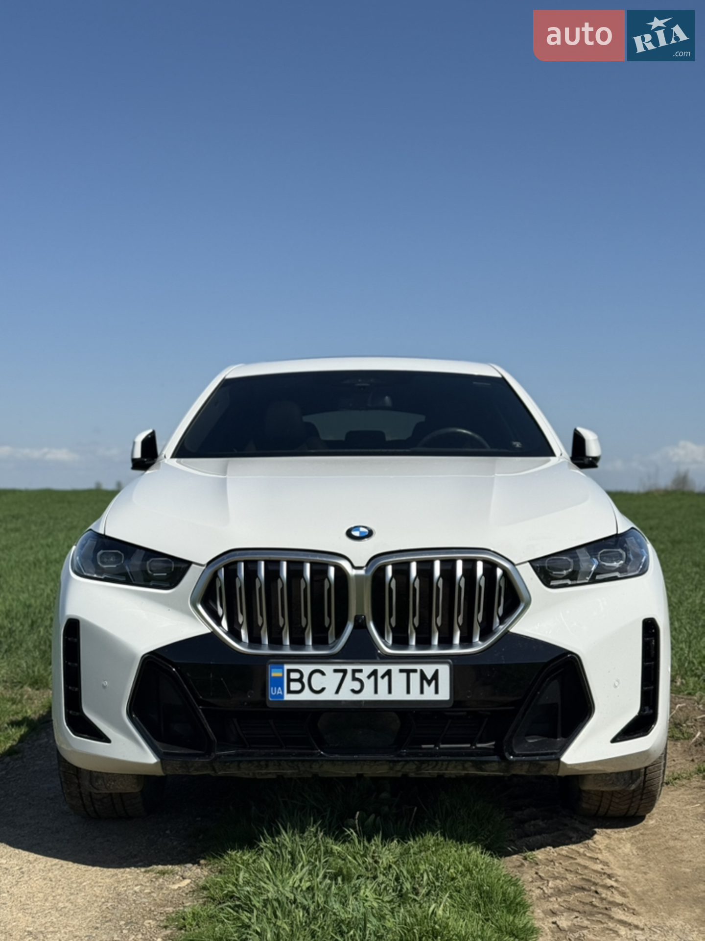 2023 BMW X6 - мініатюра 5