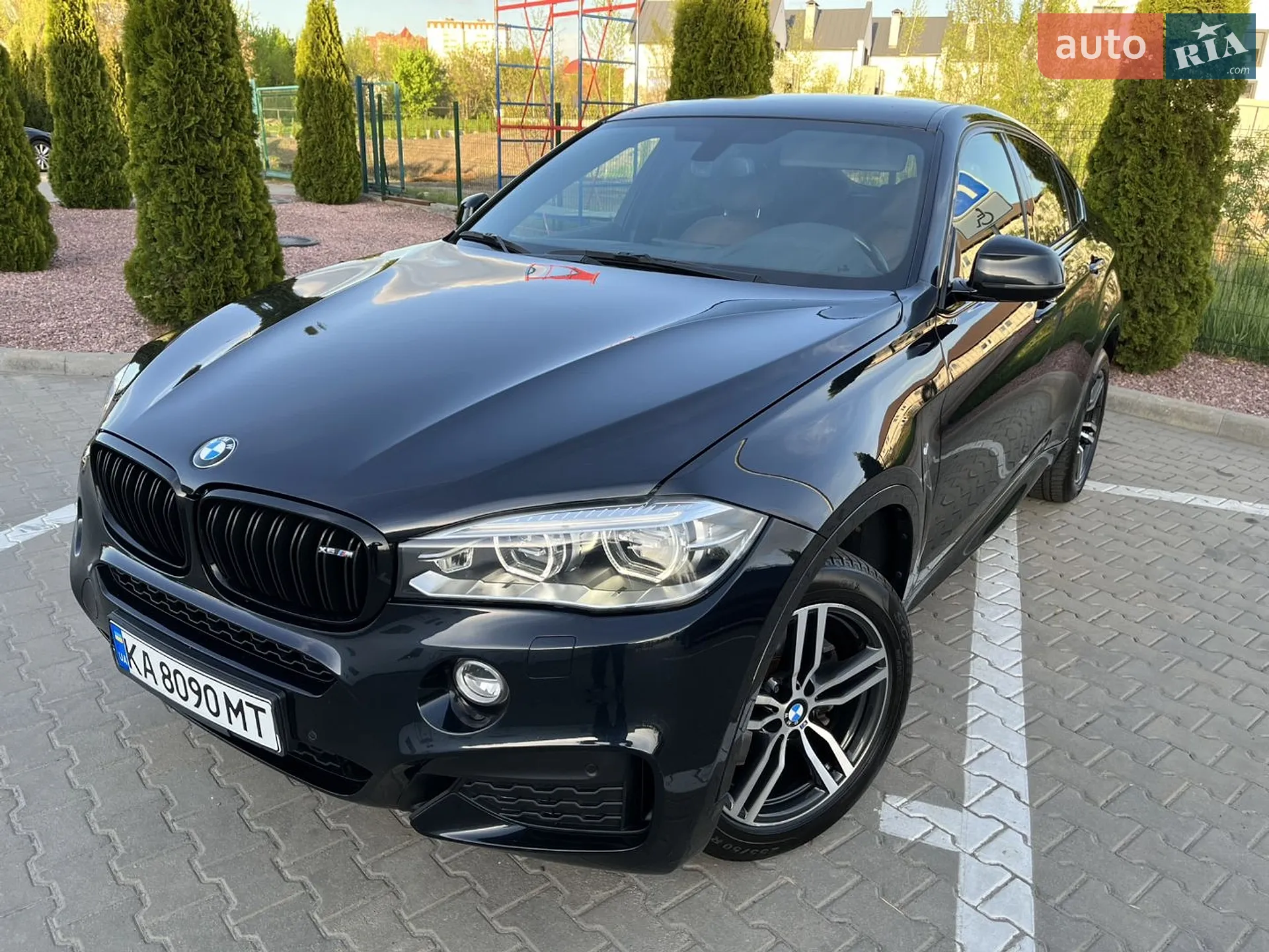2016 BMW X6 - мініатюра 3