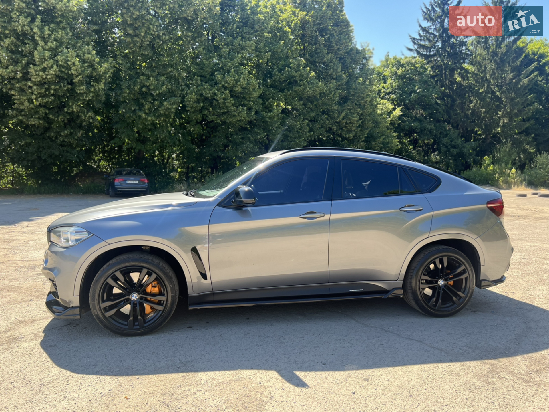 2014 BMW X6 - мініатюра 5