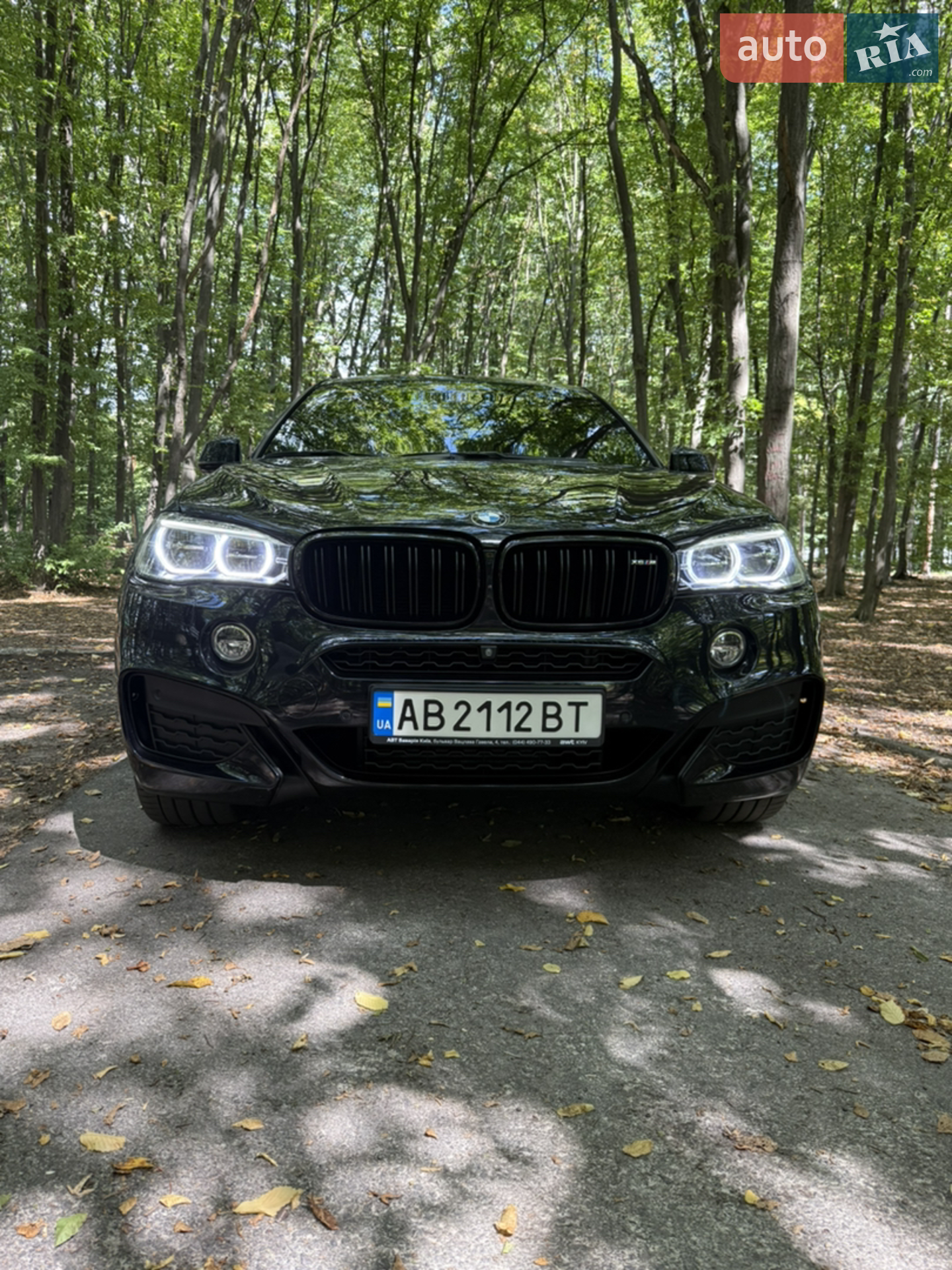 2019 BMW X6 - мініатюра 2