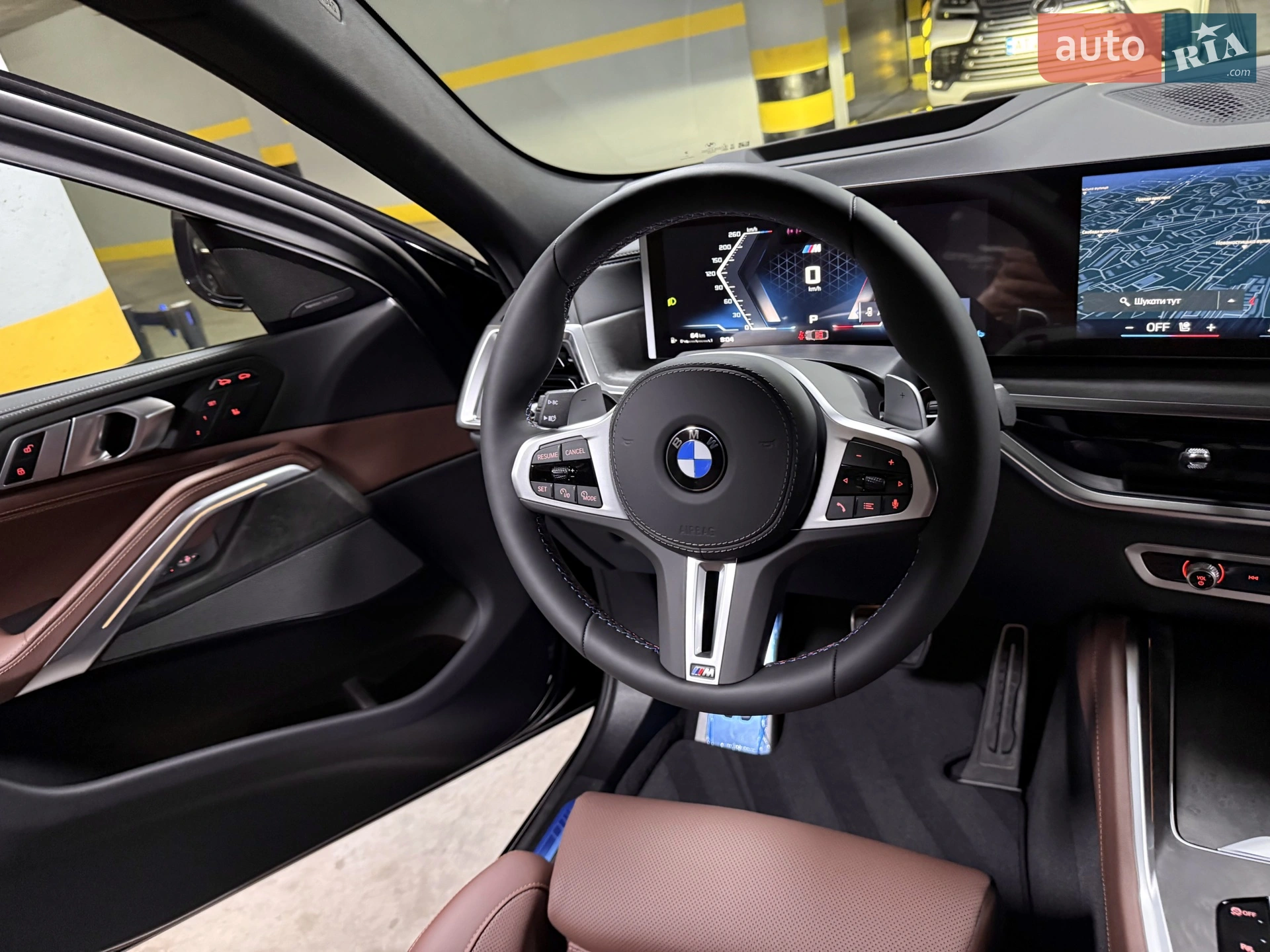 2025 BMW X6 - мініатюра 63