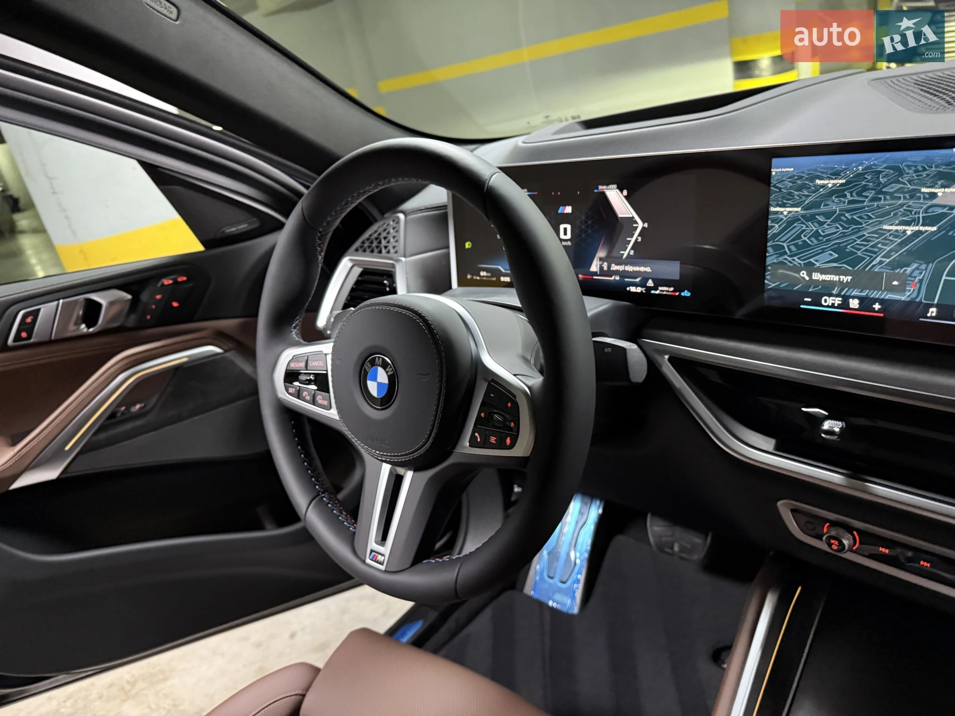 2025 BMW X6 - мініатюра 77