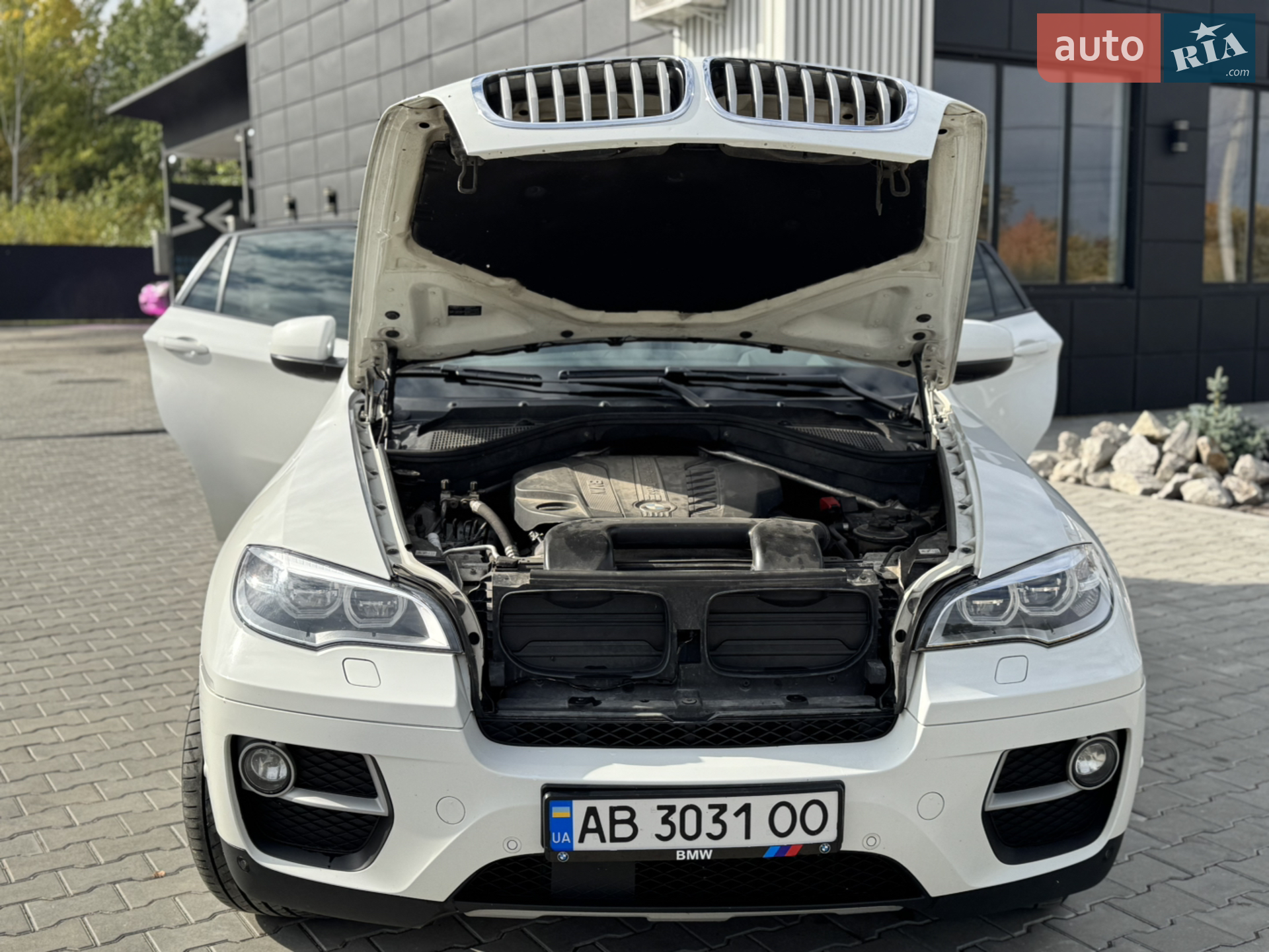 2013 BMW X6 - мініатюра 62