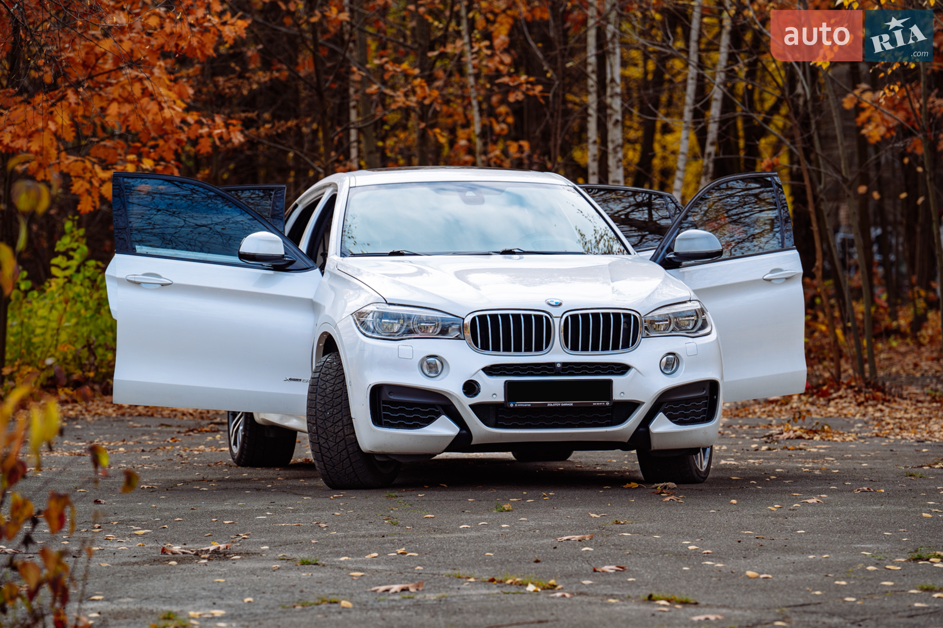 2015 BMW X6 - мініатюра 2