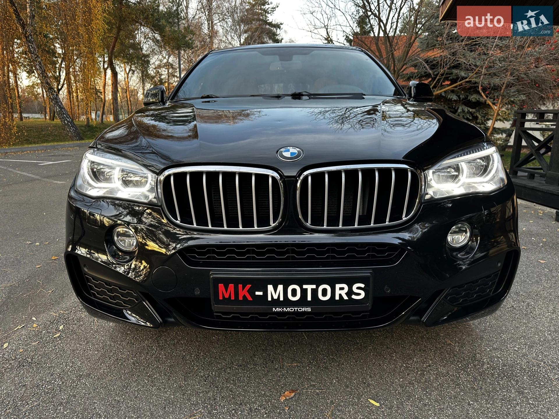 2015 BMW X6 - мініатюра 26
