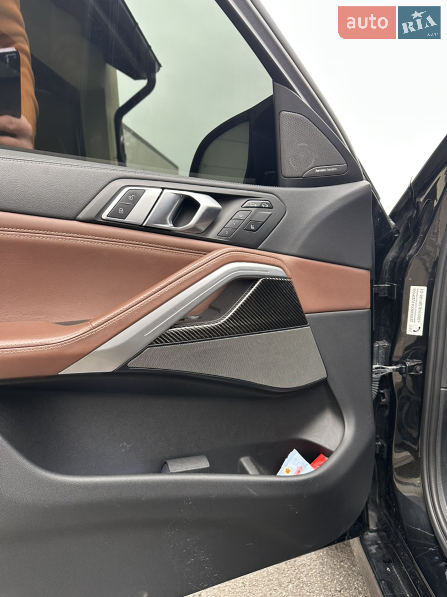 2020 BMW X6 - мініатюра 6