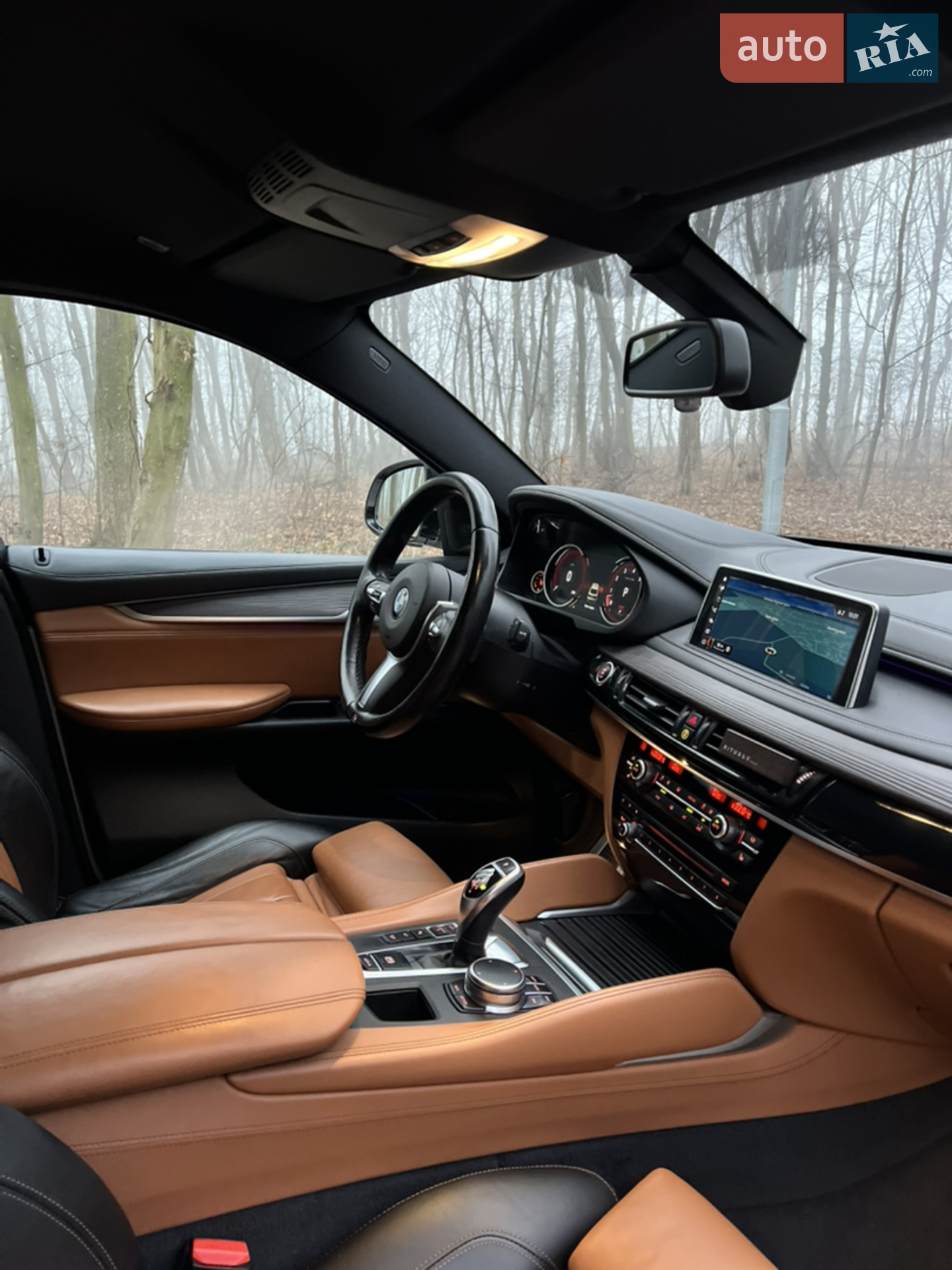 2017 BMW X6 - мініатюра 18