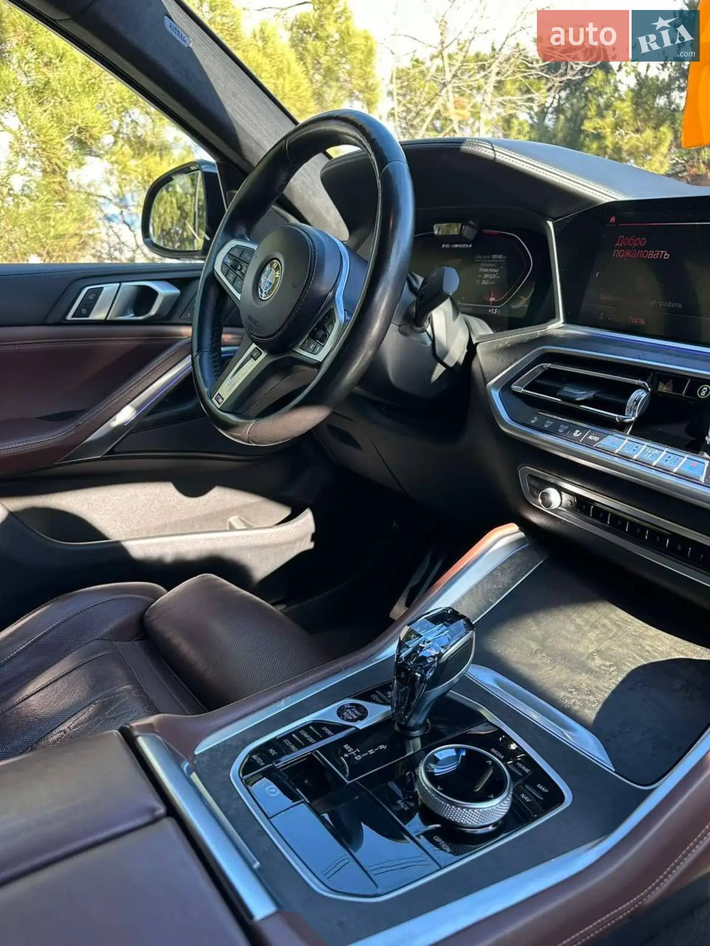 2021 BMW X6 - мініатюра 6