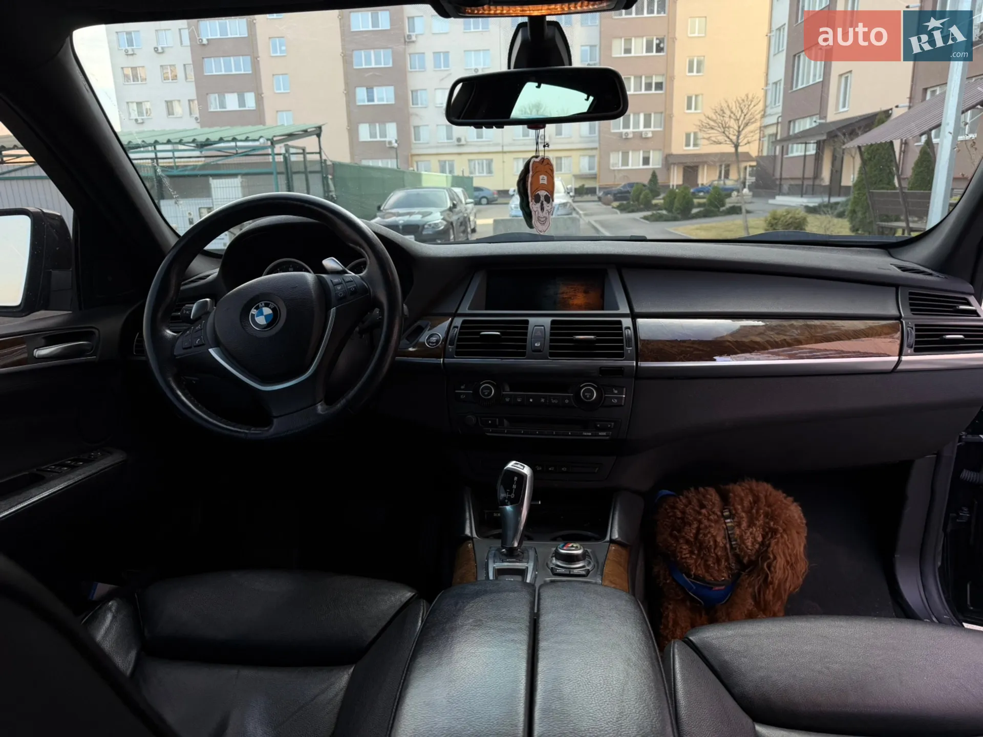 2010 BMW X6 - мініатюра 13