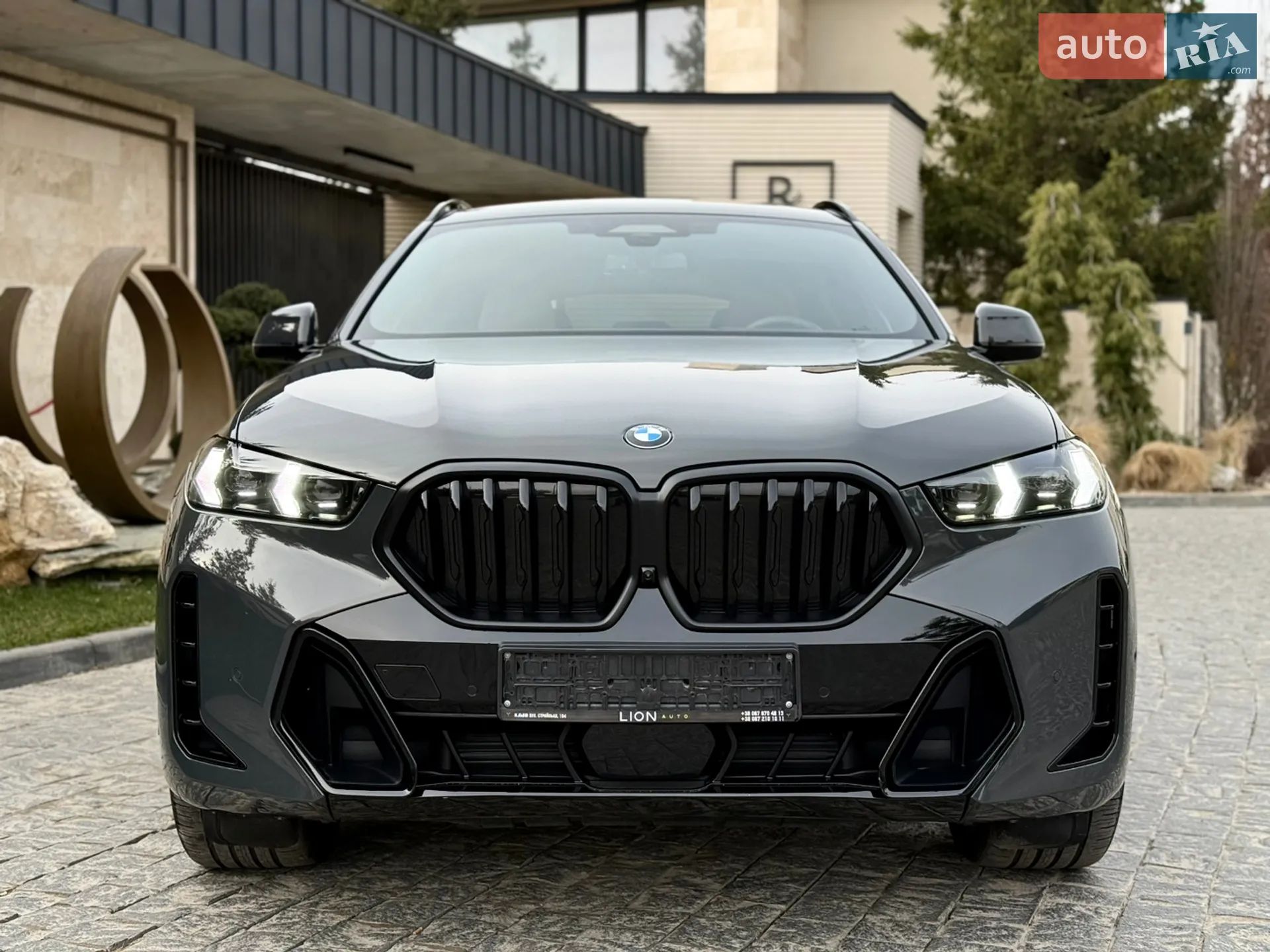 2023 BMW X6 - мініатюра 3