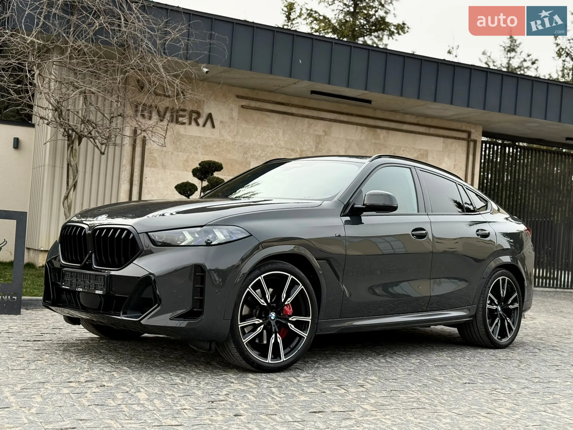 2023 BMW X6 - мініатюра 5