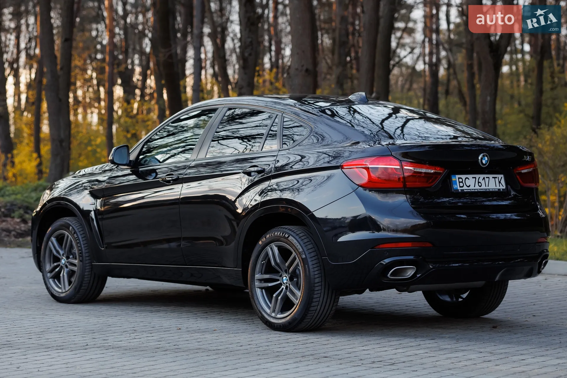 2017 BMW X6 - мініатюра 13