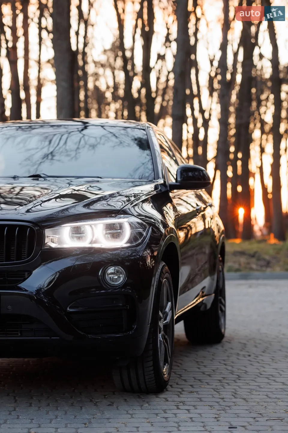 2017 BMW X6 - мініатюра 8