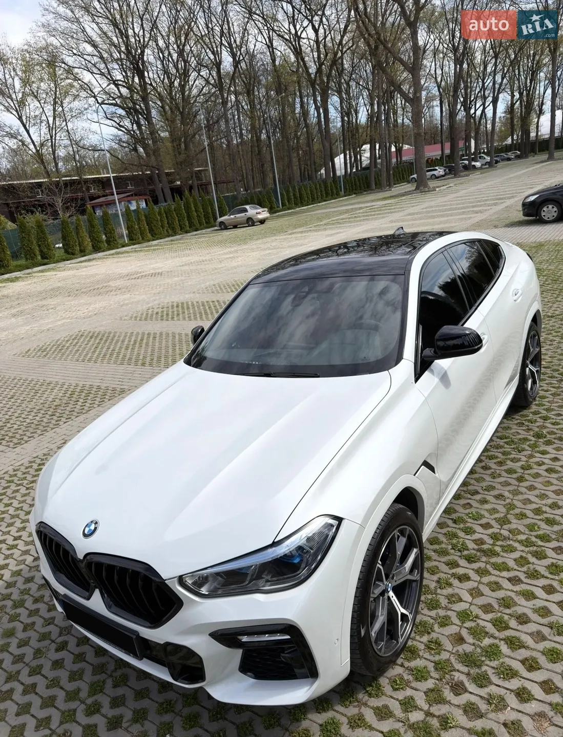 2021 BMW X6 - мініатюра 3