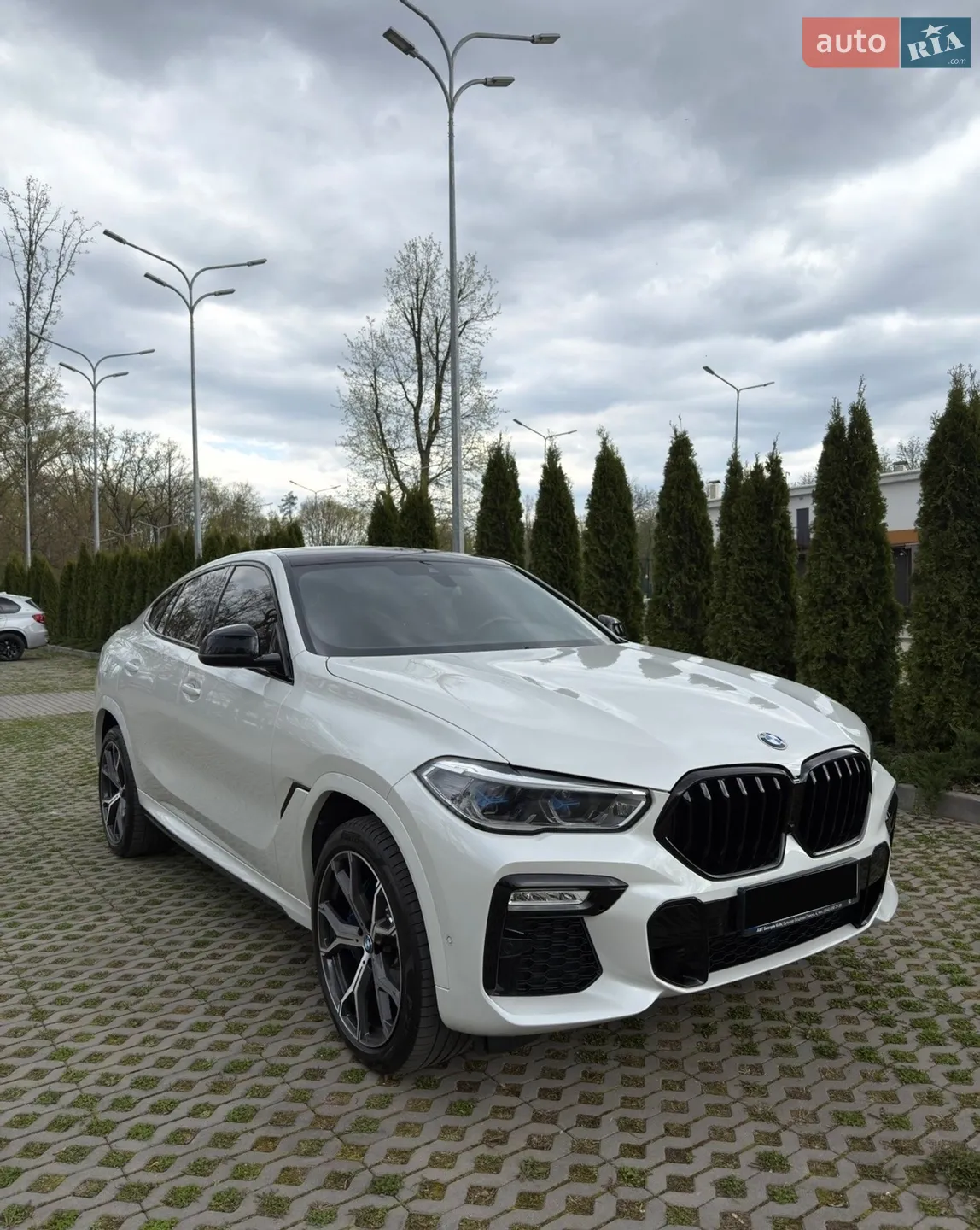2021 BMW X6 - мініатюра 6