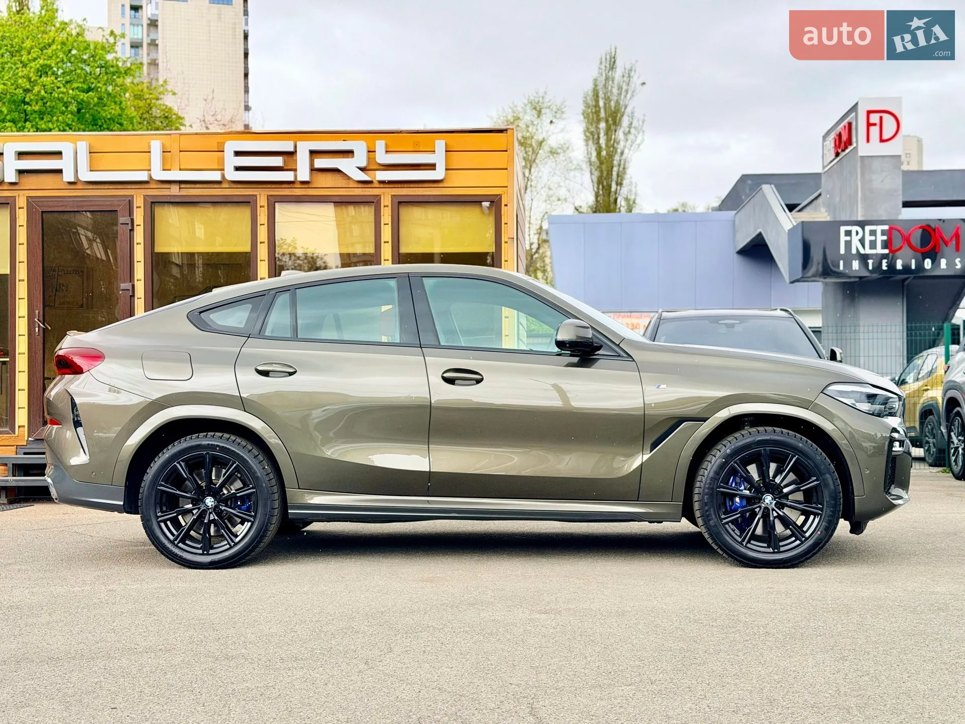 2020 BMW X6 - мініатюра 11