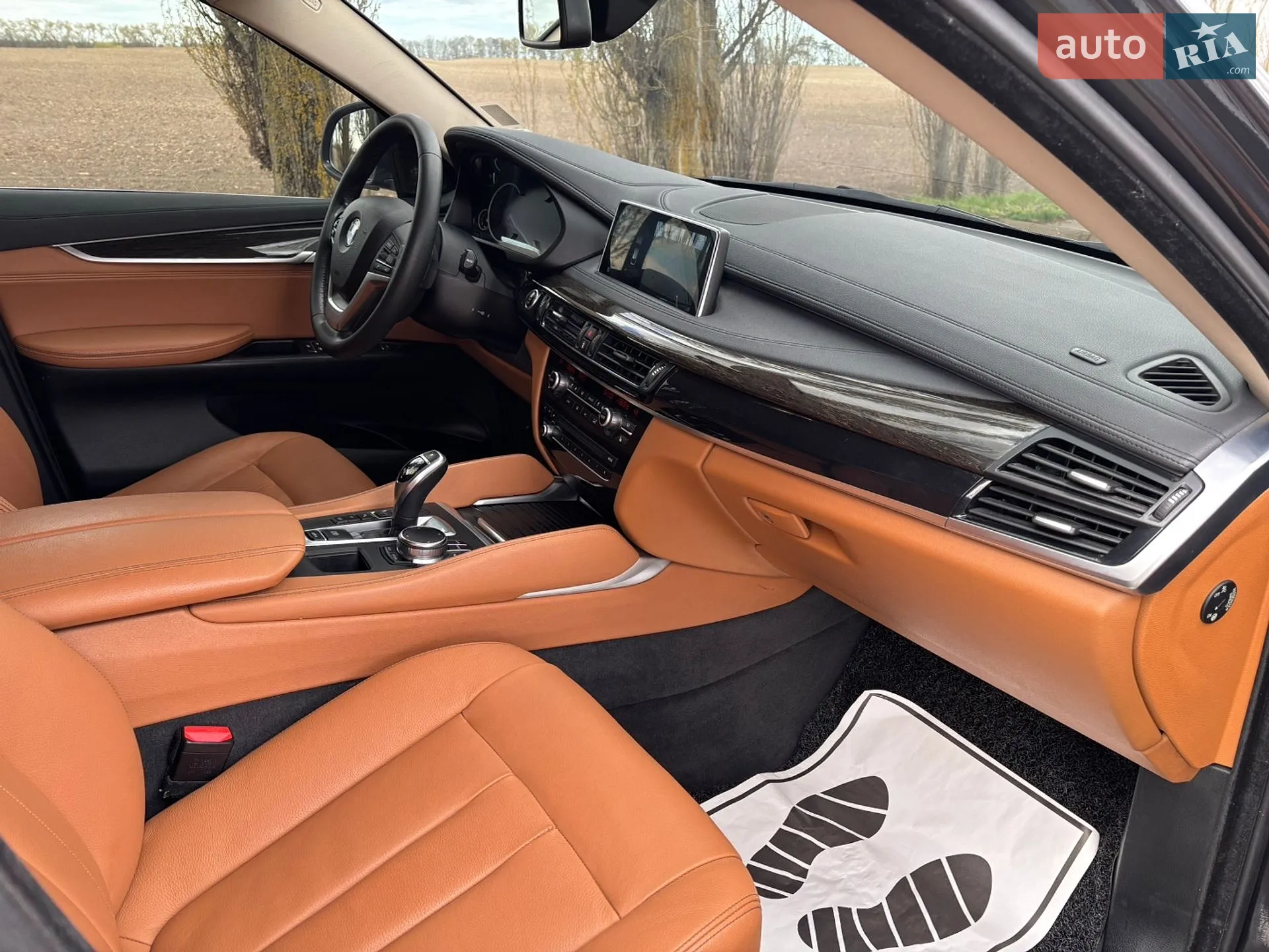2018 BMW X6 - мініатюра 17