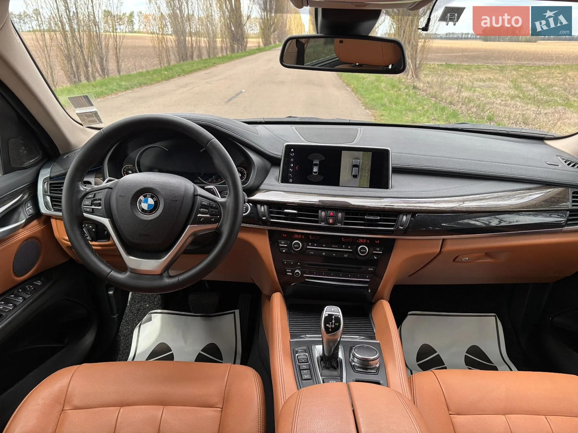 2018 BMW X6 - мініатюра 20