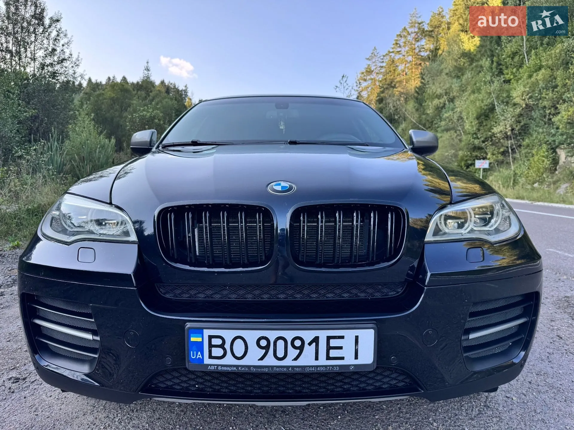 2013 BMW X6 - мініатюра 8