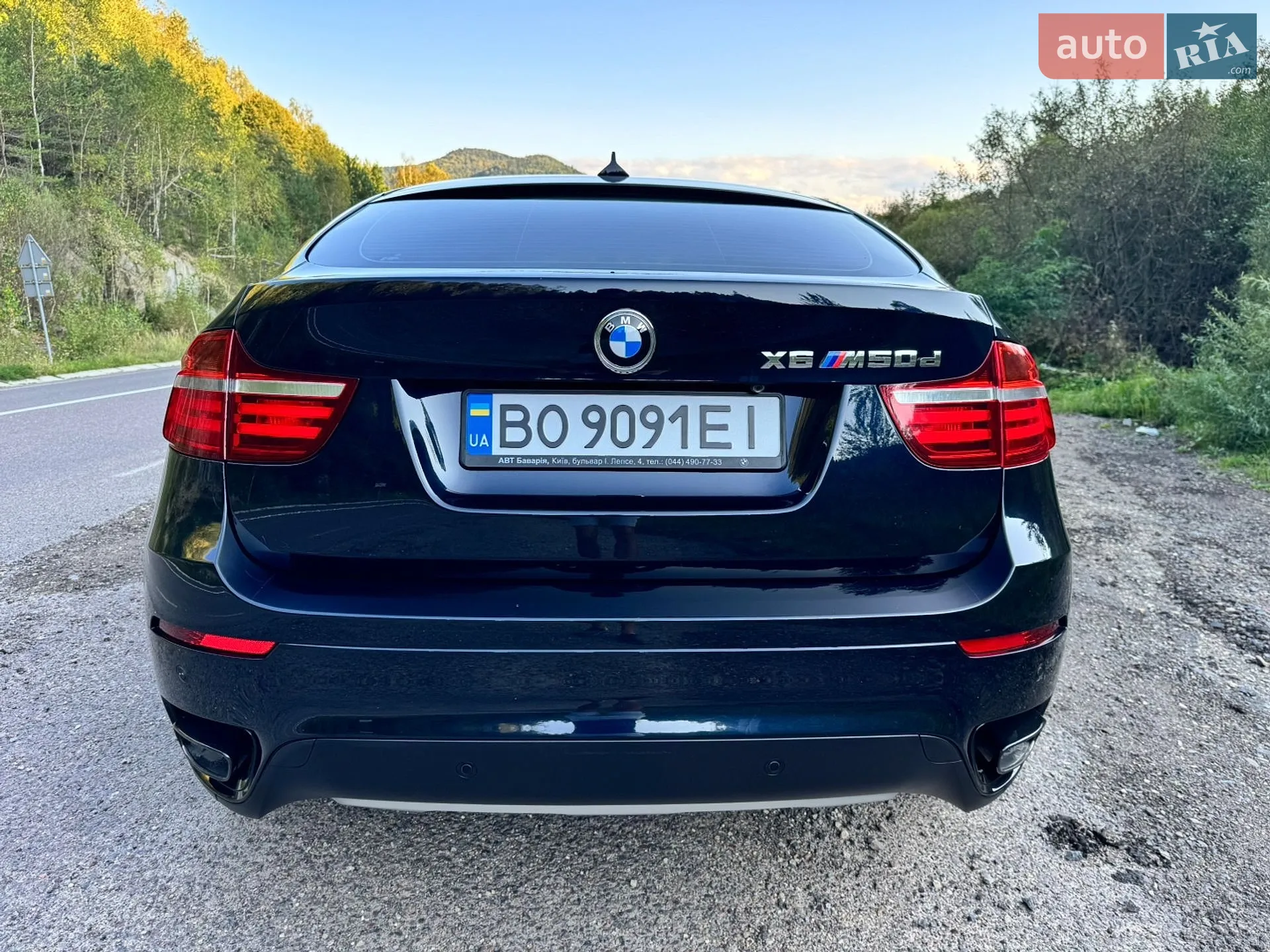 2013 BMW X6 - мініатюра 4