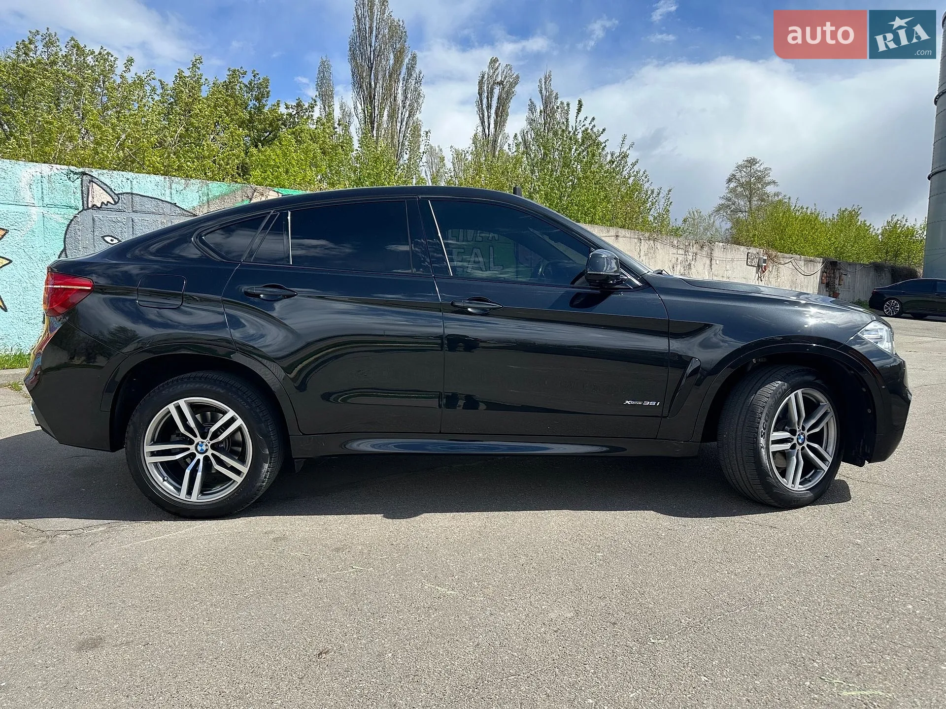 2016 BMW X6 - мініатюра 4