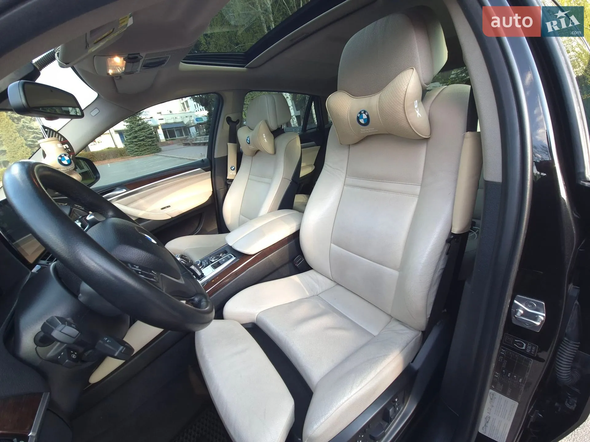 2010 BMW X6 - мініатюра 7