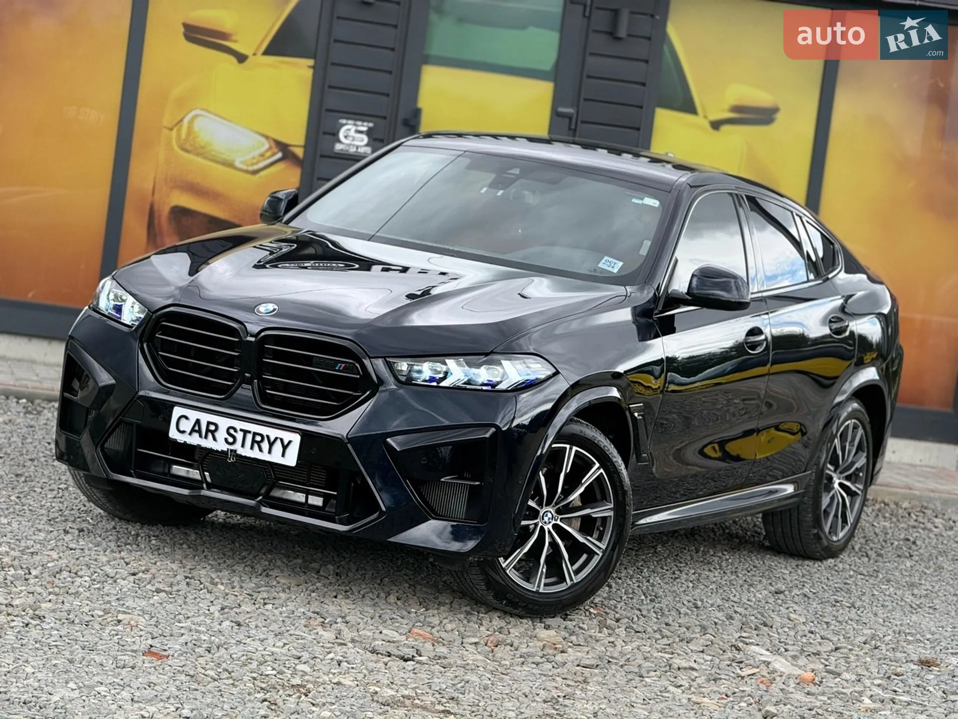 2021 BMW X6 - мініатюра 7