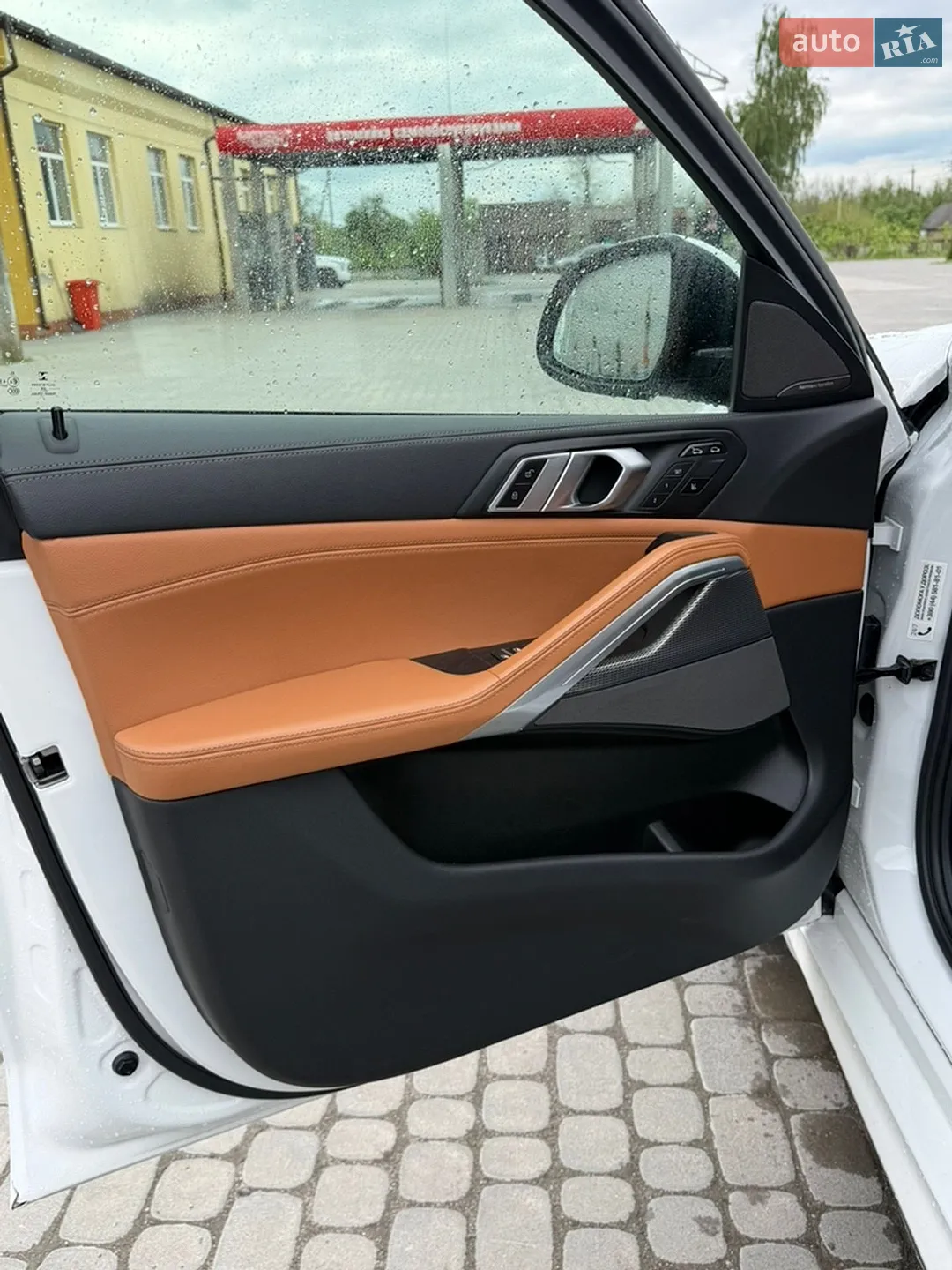 2020 BMW X6 - мініатюра 8