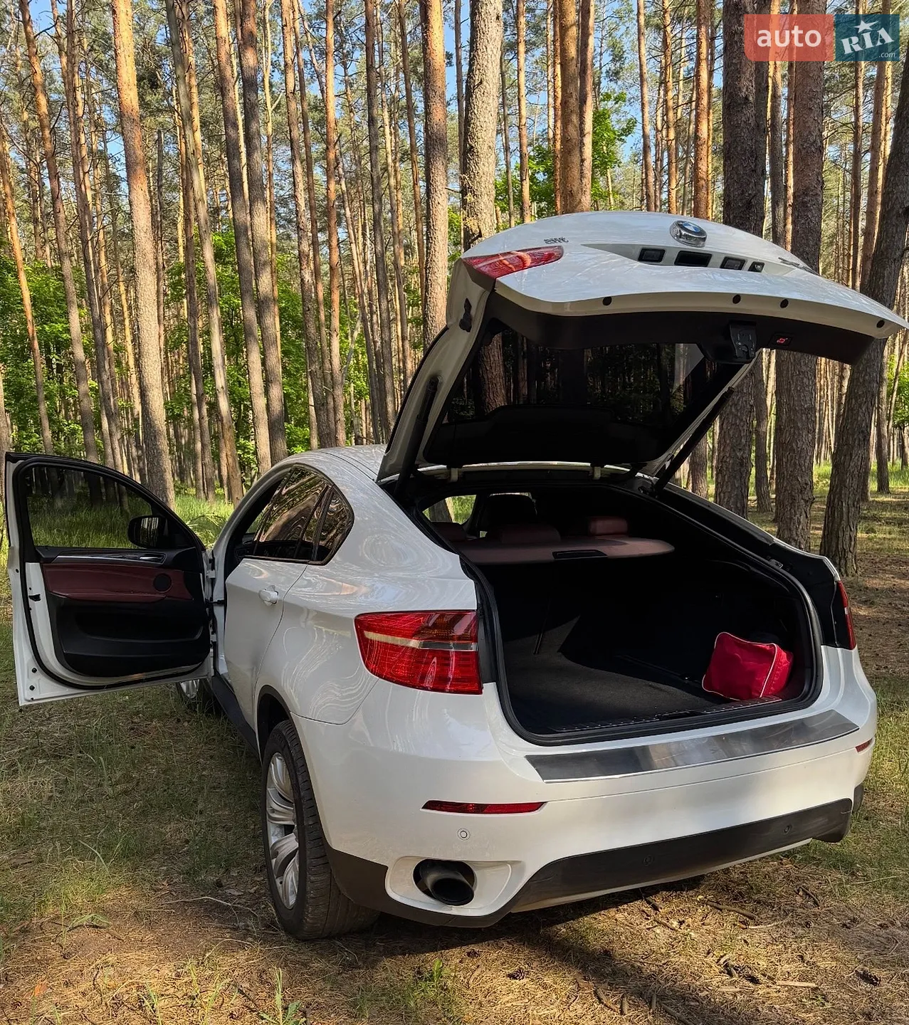 2011 BMW X6 - мініатюра 6