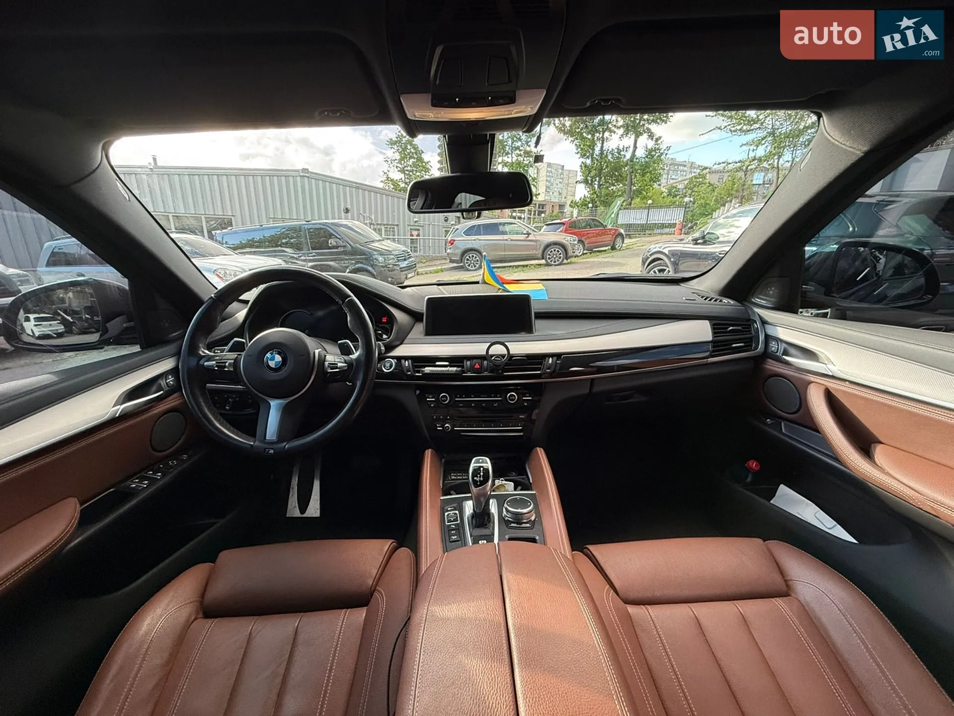 2018 BMW X6 - мініатюра 5
