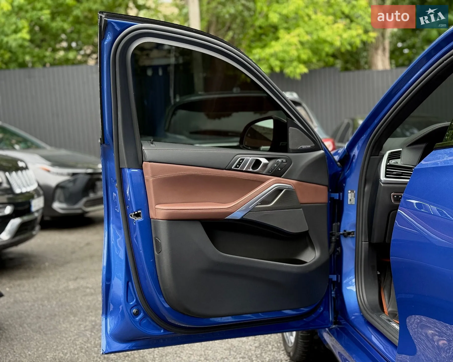 2019 BMW X6 - мініатюра 12
