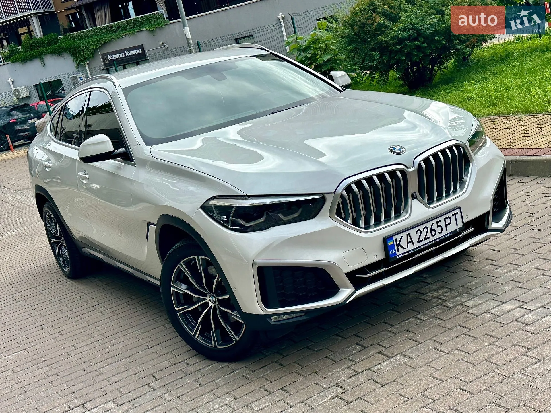 2019 BMW X6 - мініатюра 62