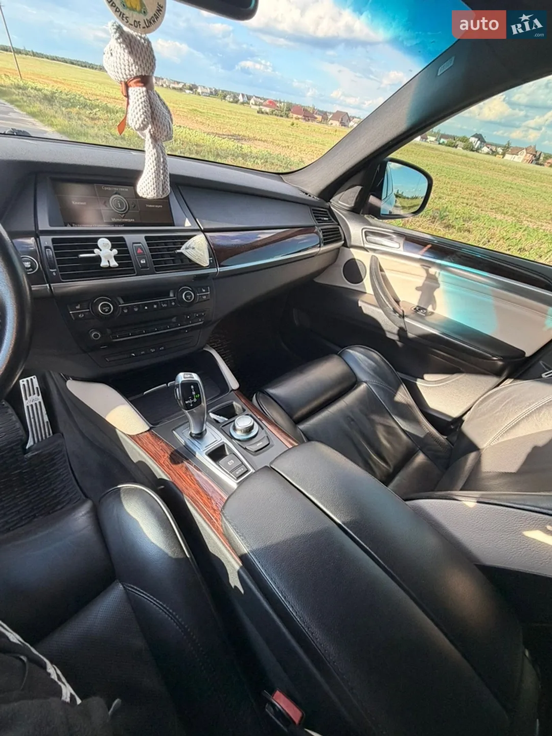 2010 BMW X6 - мініатюра 21