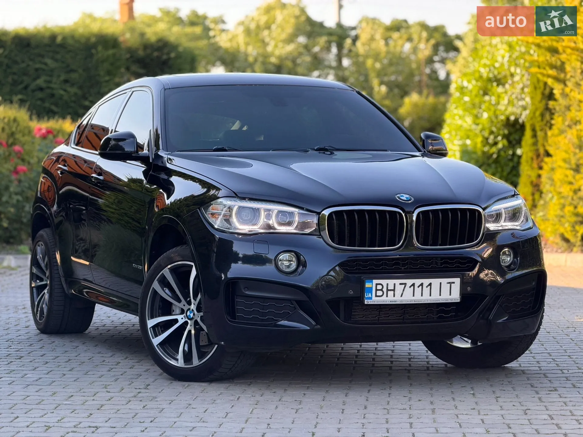 2016 BMW X6 - мініатюра 2