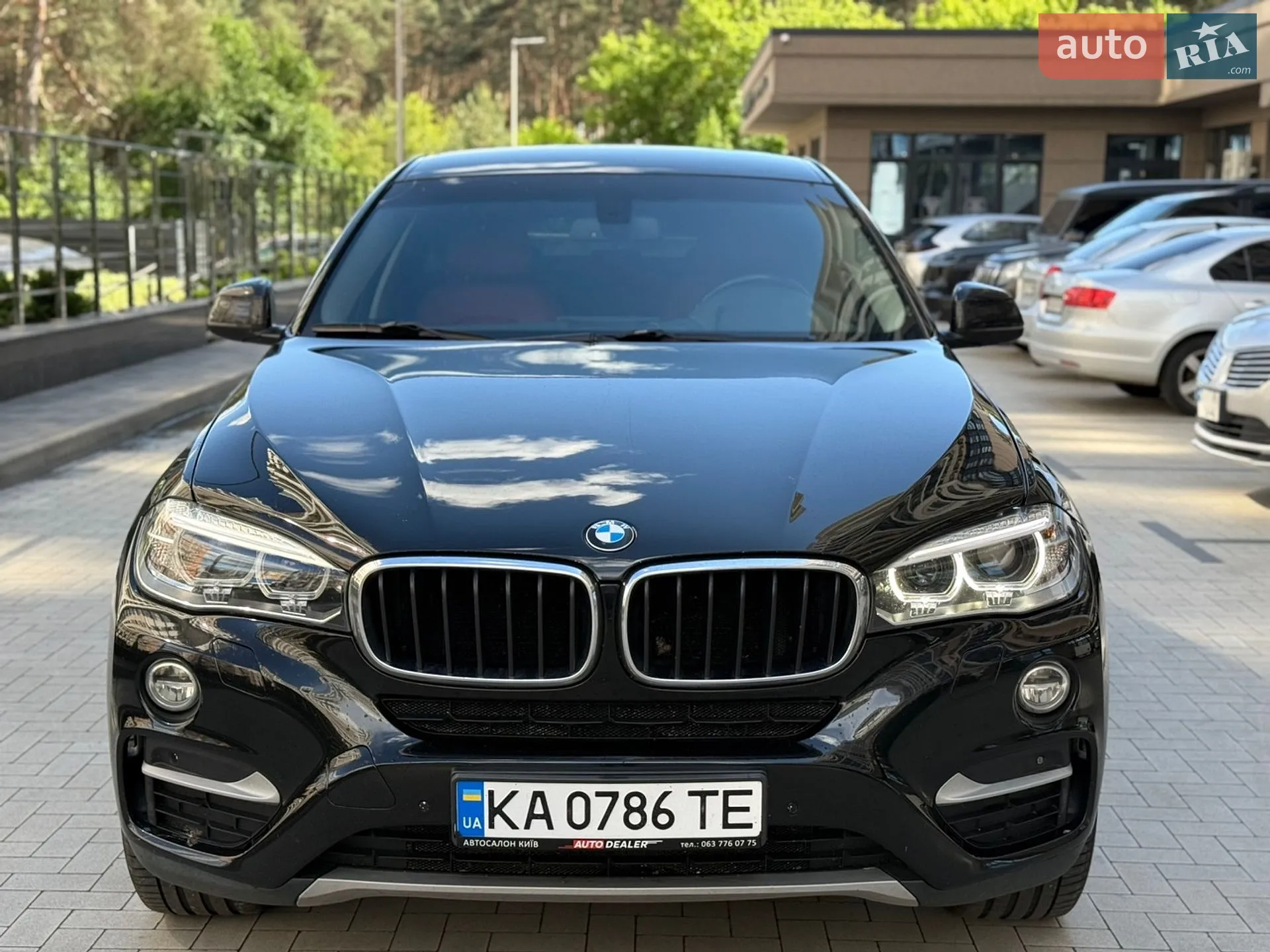 2014 BMW X6 - мініатюра 2
