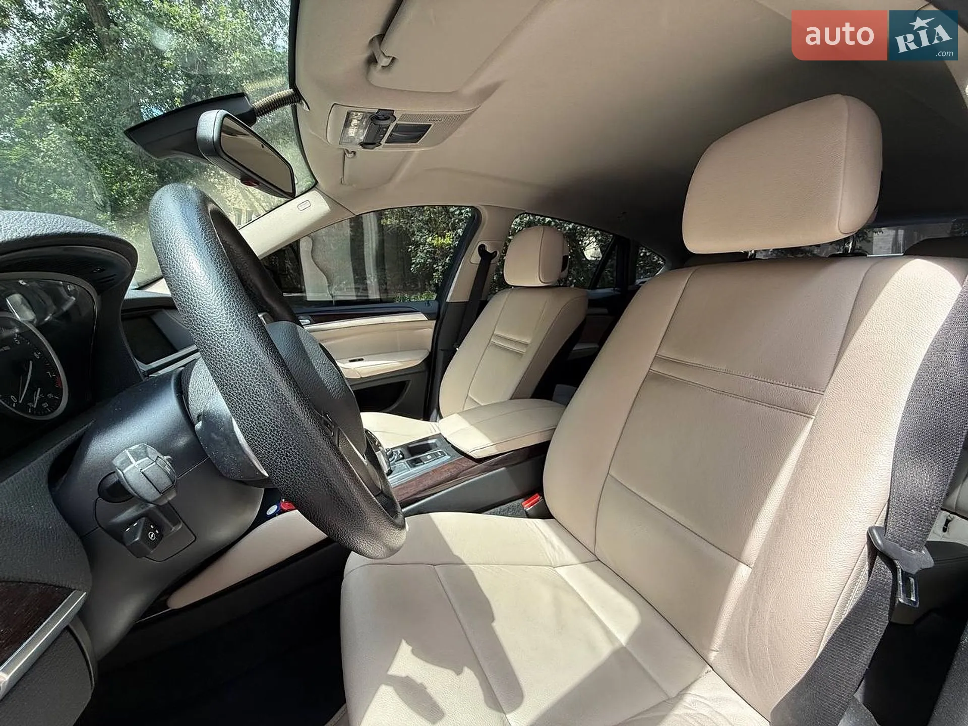 2010 BMW X6 - мініатюра 8
