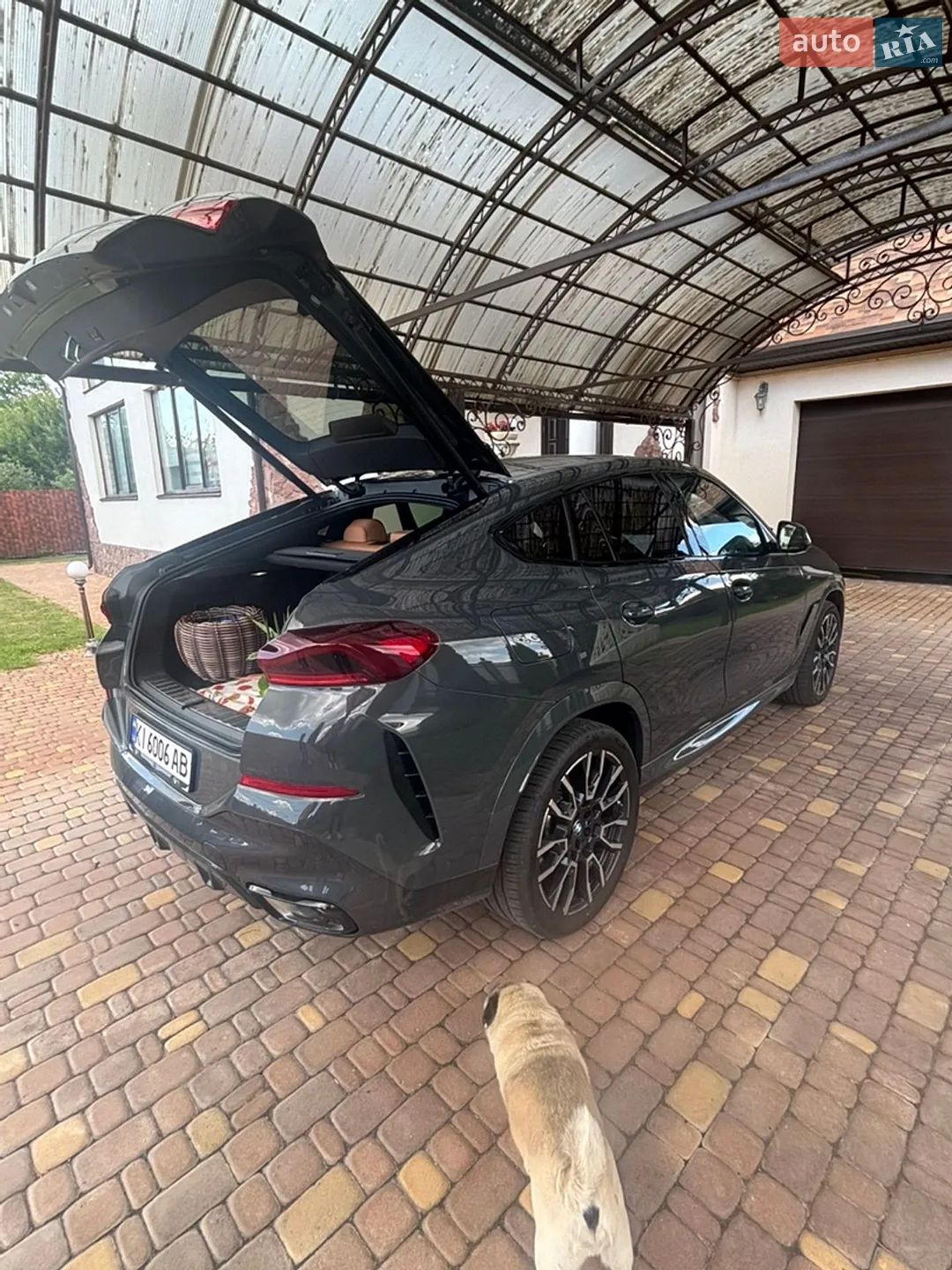 2024 BMW X6 - мініатюра 7