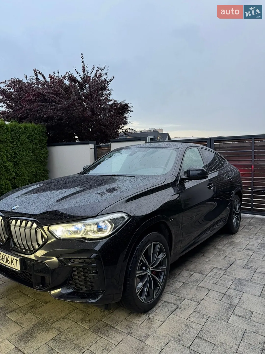 2022 BMW X6 - мініатюра 7