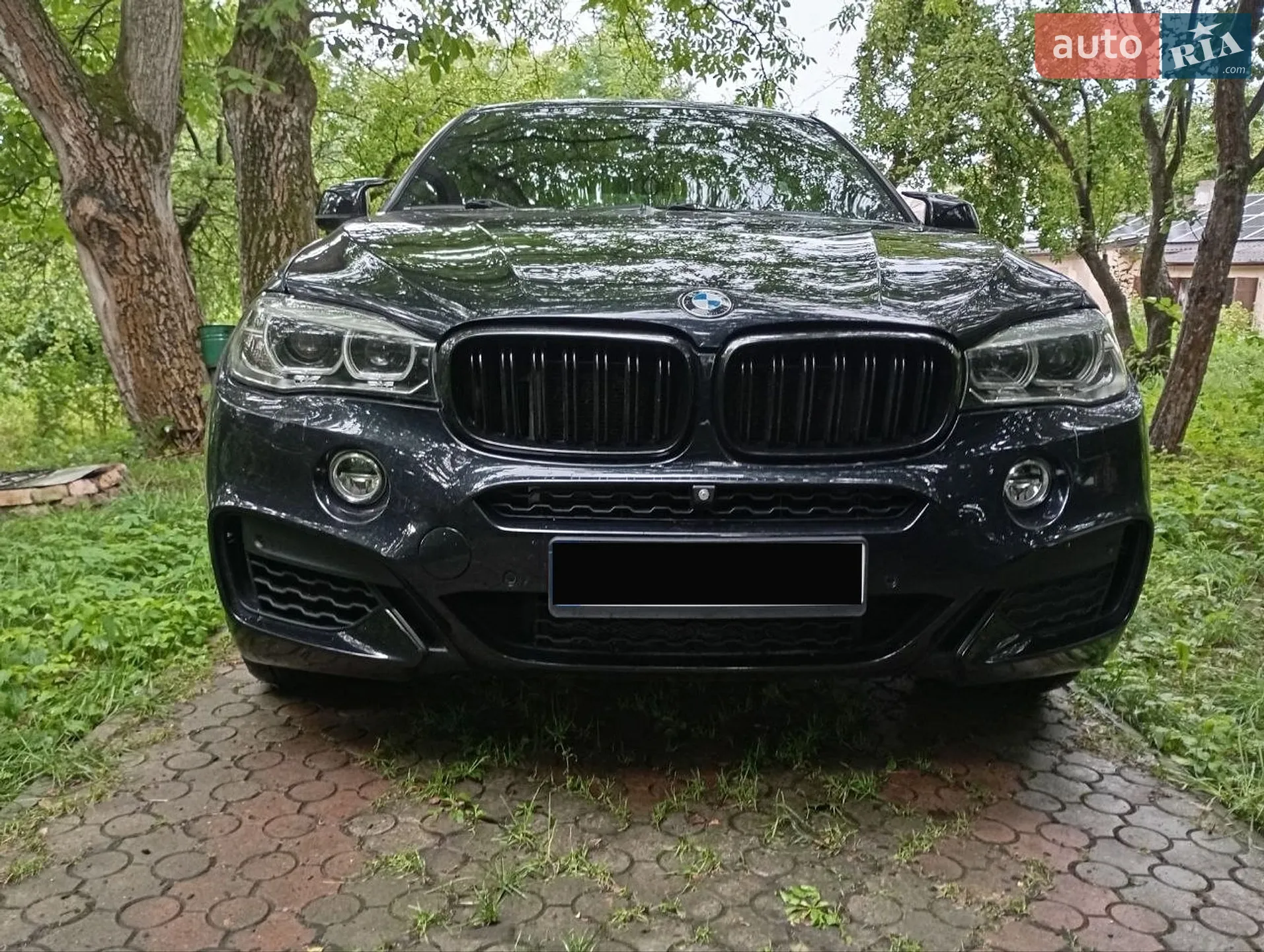 2017 BMW X6 - мініатюра 7