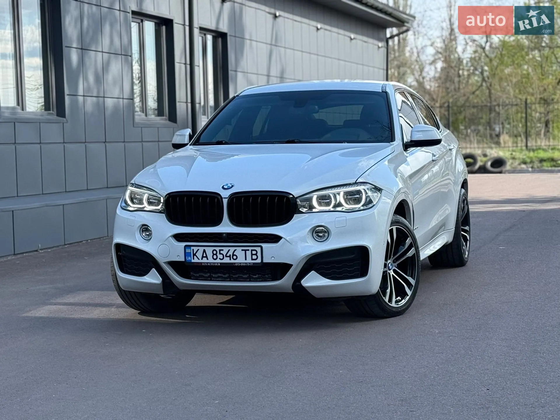 2018 BMW X6 - мініатюра 3