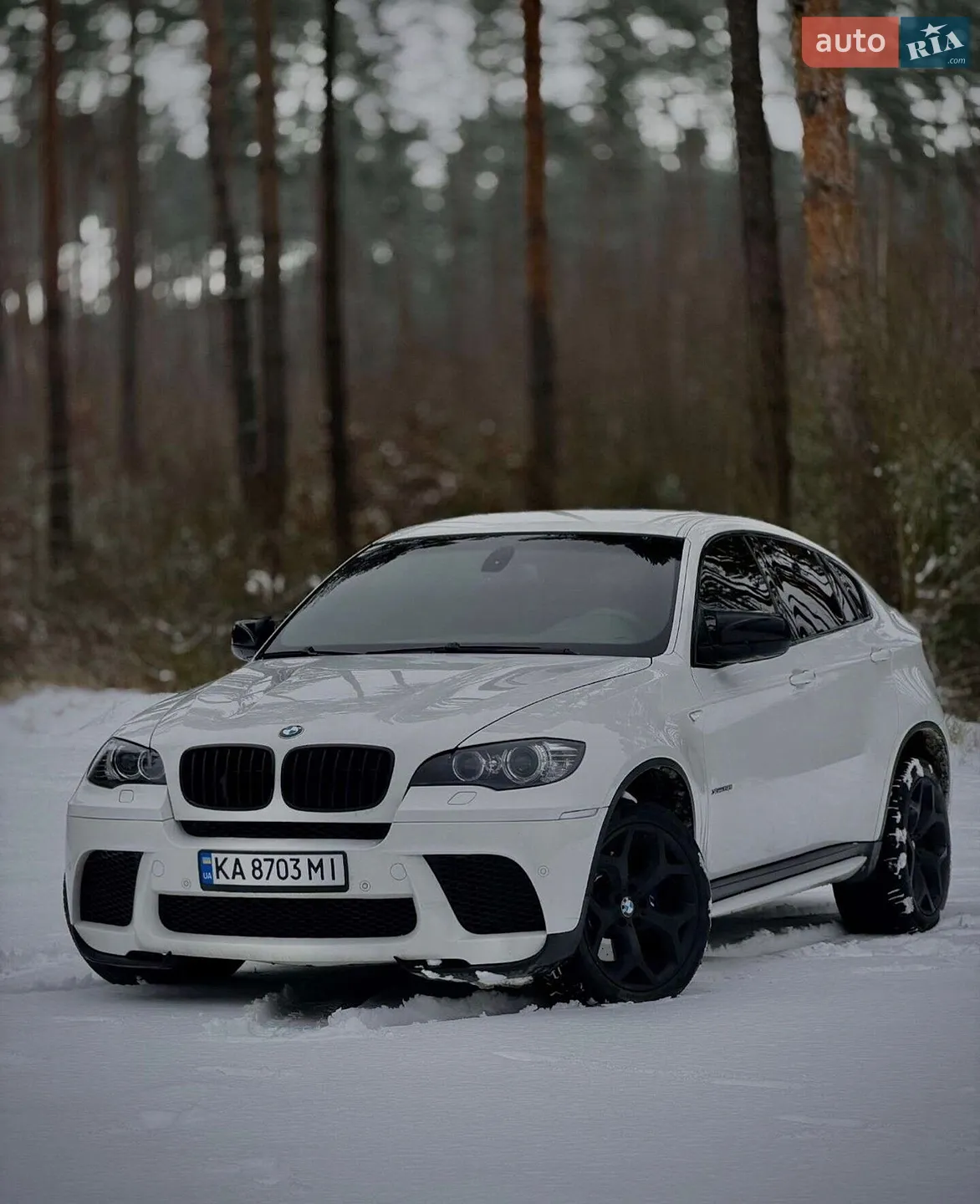 2010 BMW X6 - мініатюра 11