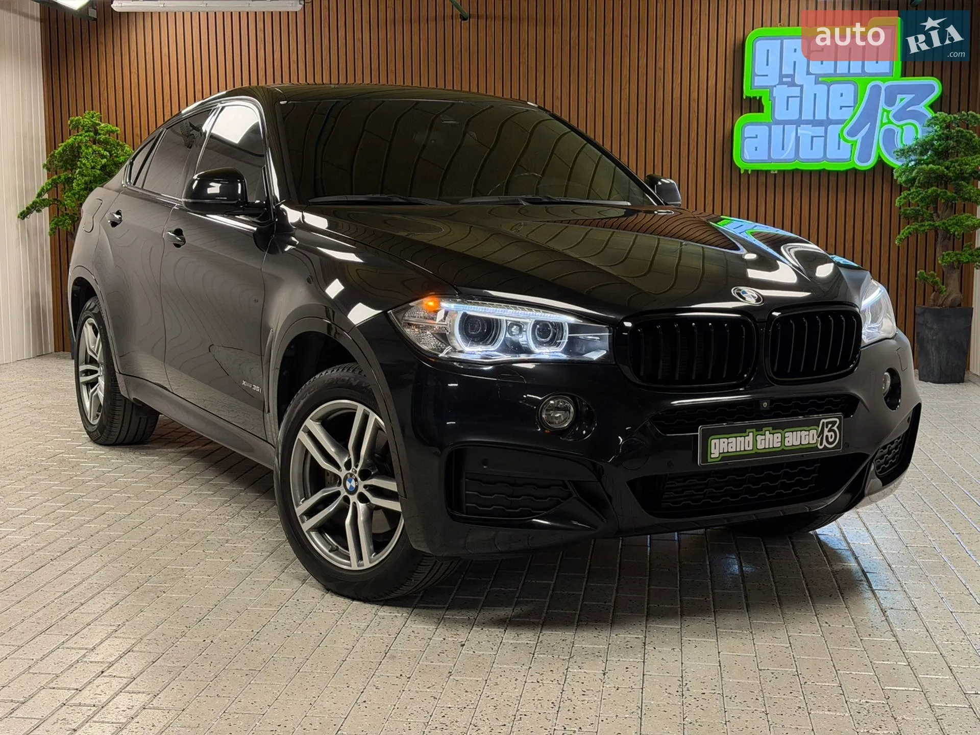 2016 BMW X6 - мініатюра 7