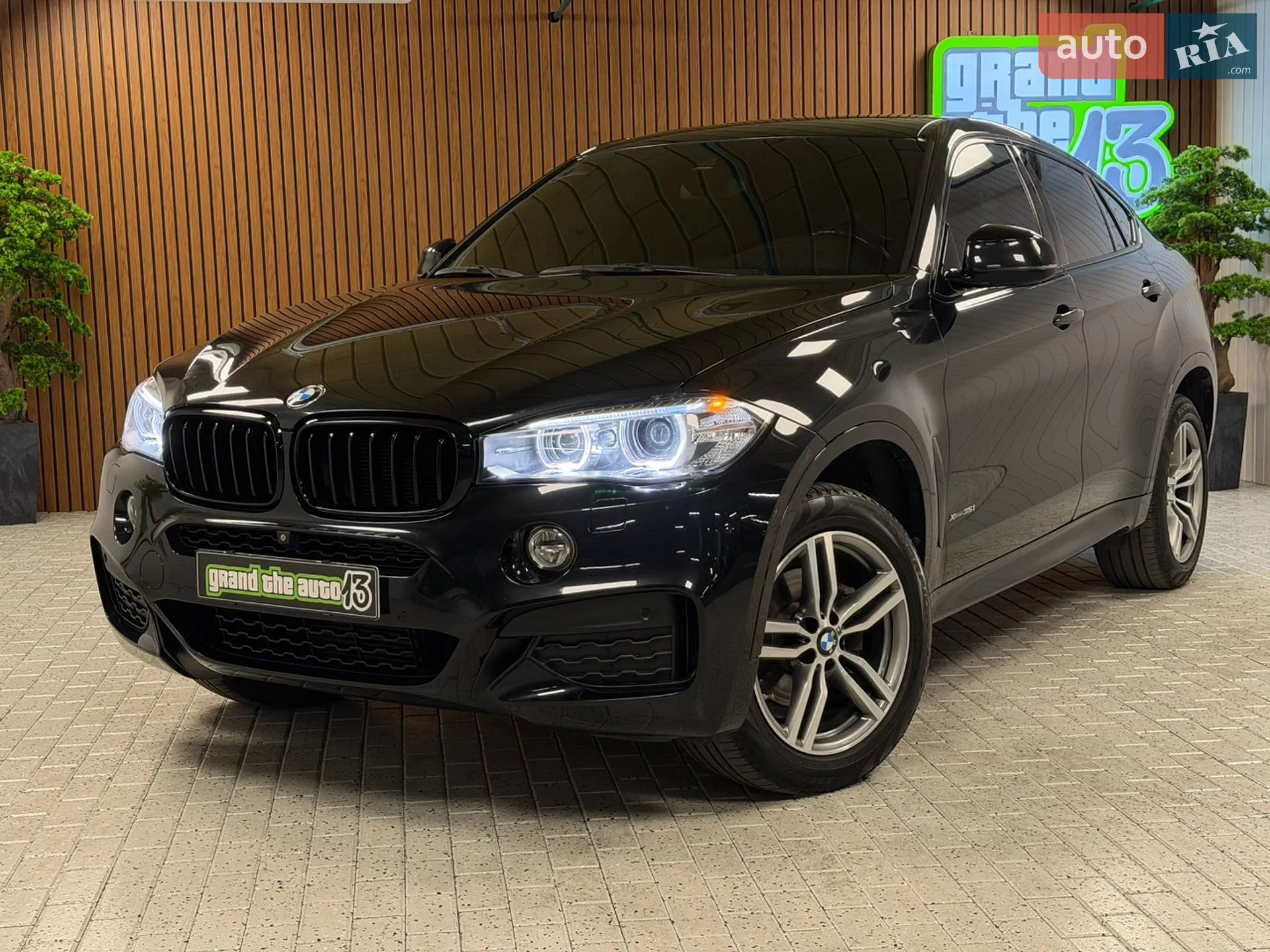 2016 BMW X6 - мініатюра 13