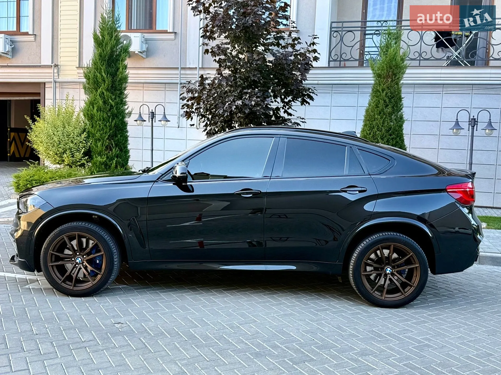 2018 BMW X6 - мініатюра 68